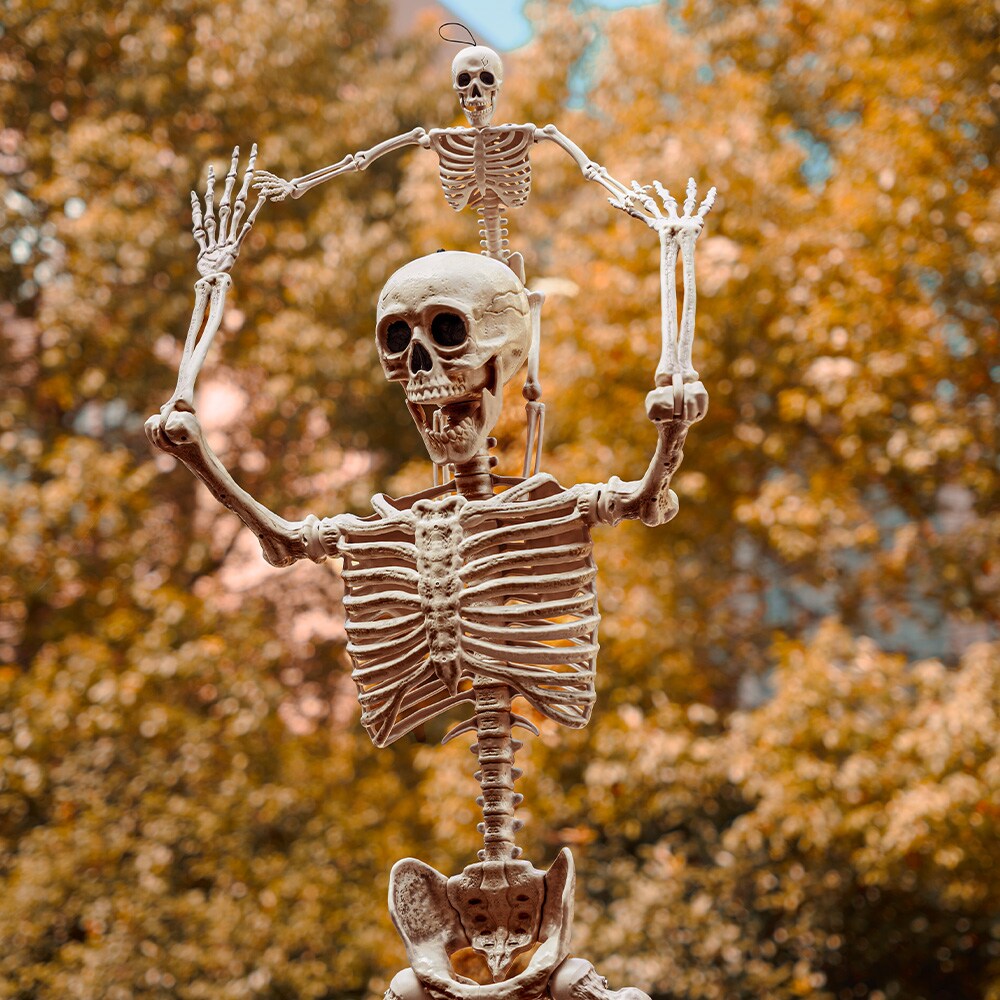 Joyfy 16025PM Table-Halloween-Decor - View #5