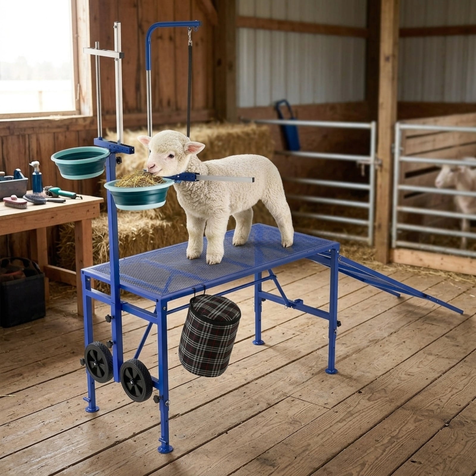 GIVIMO Goat Milking Stand 600-lb Foldable Goat Stand with Ramp Feed Bin Wheels Adjustable Headpiece Stanchion for Grooming Hoof Trimming Sheep