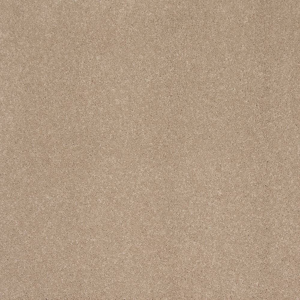 STAINMASTER SS029-L012-0808 (Sample) Rarefied Air I Antique Tan 35-oz sq yard Solution-dyed Polyester Textured Indoor Carpet
