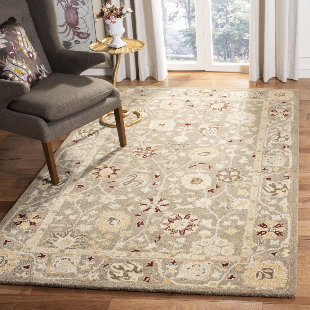 Safavieh AN559A-4 rugs - View #2