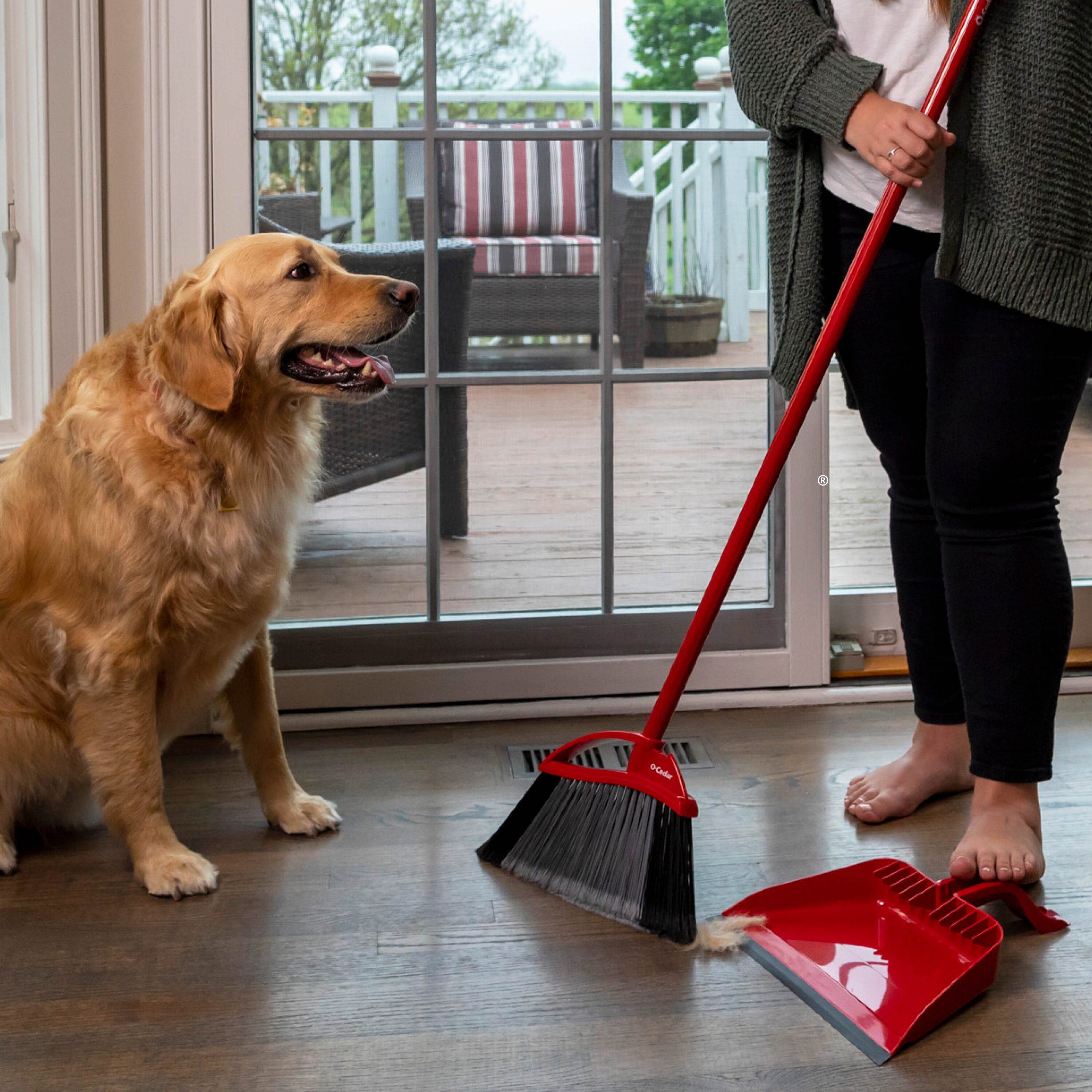 Rubbermaid Commercial Products Dustpan with Long Handle, Plastic, Black,  Compatible with Any Broom for Lobby/Restaurant/Office/Home/Dog Pooper  Scooper