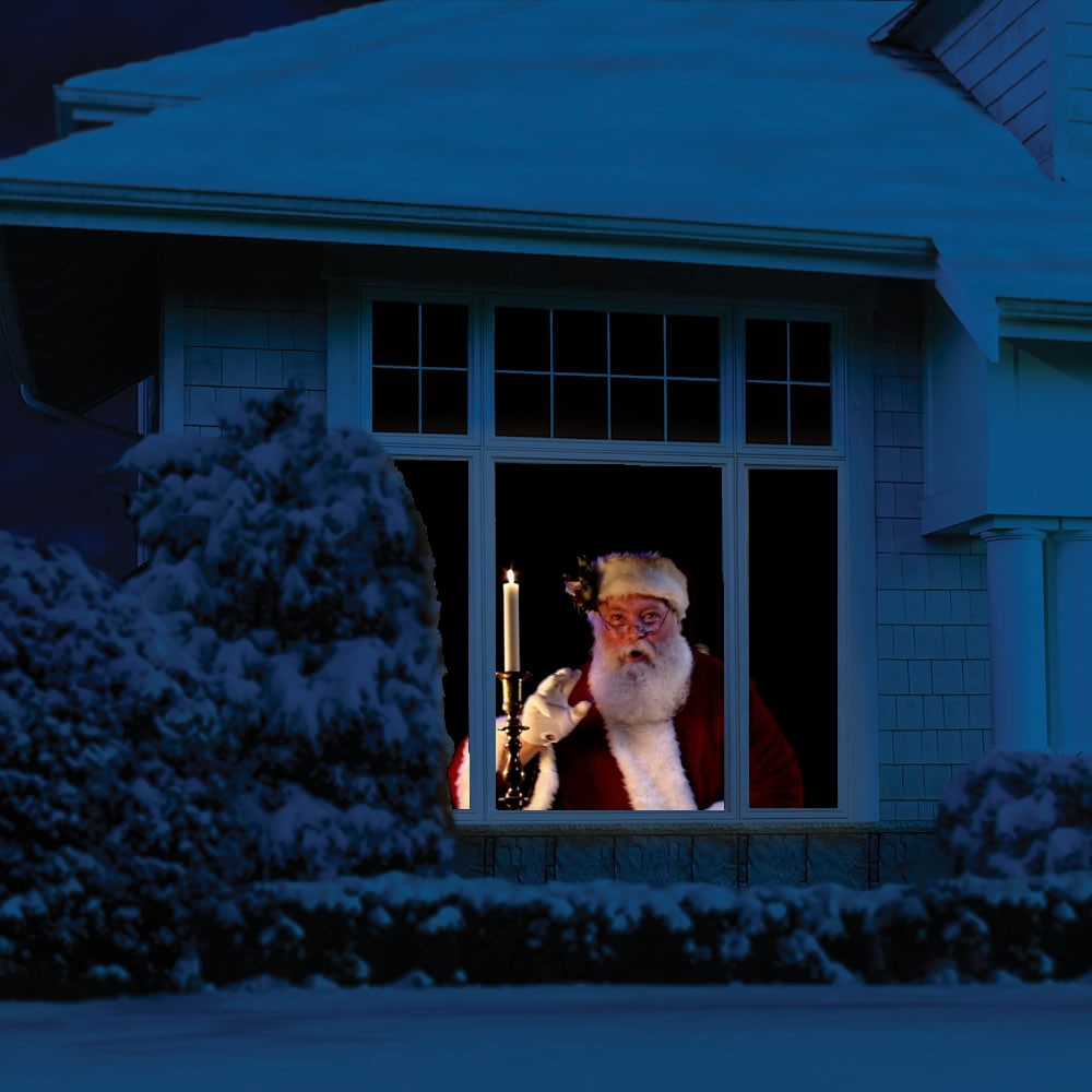 HoliScapes VIRTUAL-SANTA-DVD dvd - View #5