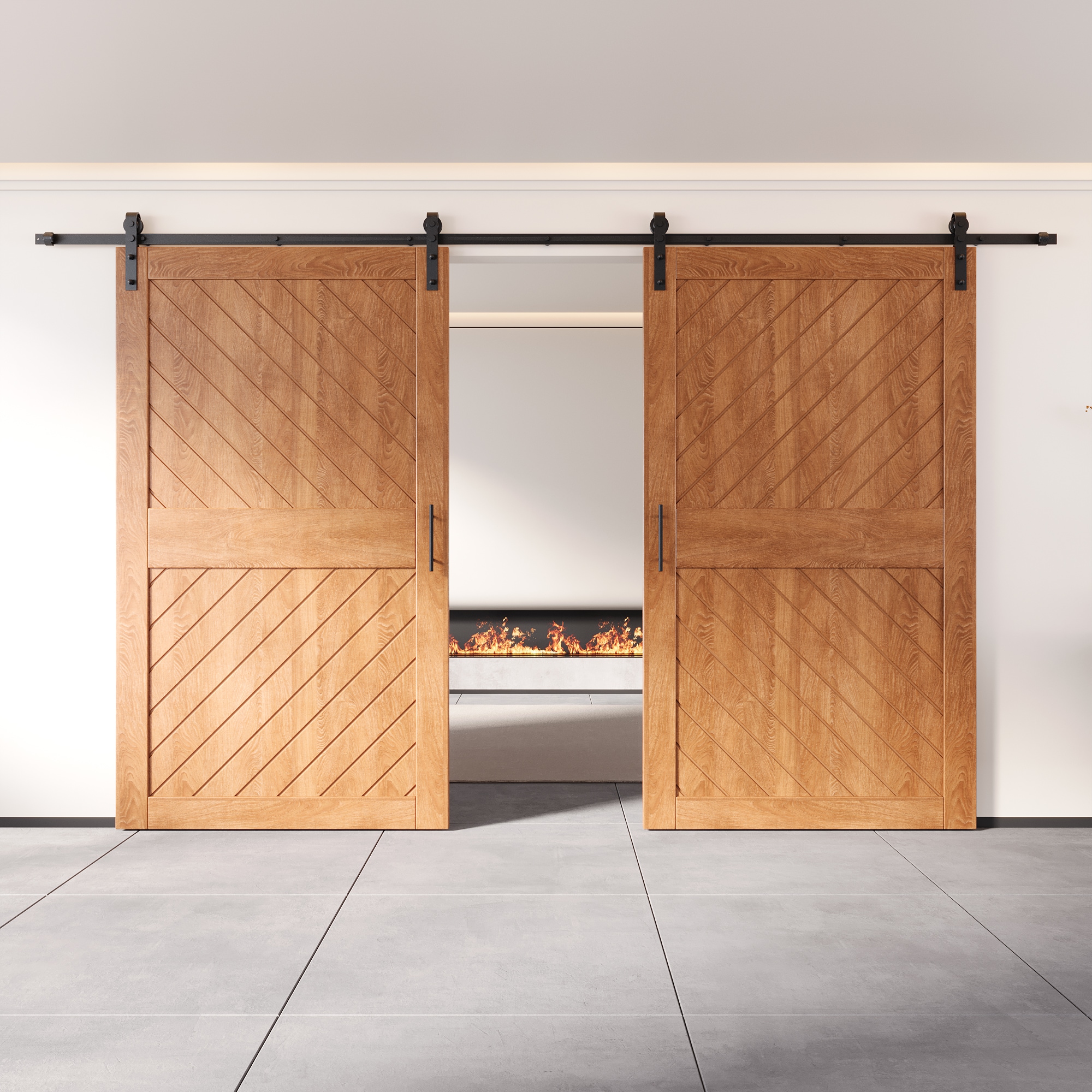 HOMACER YT2H216C-XT4-5084-EA Barn-Doors - View #8