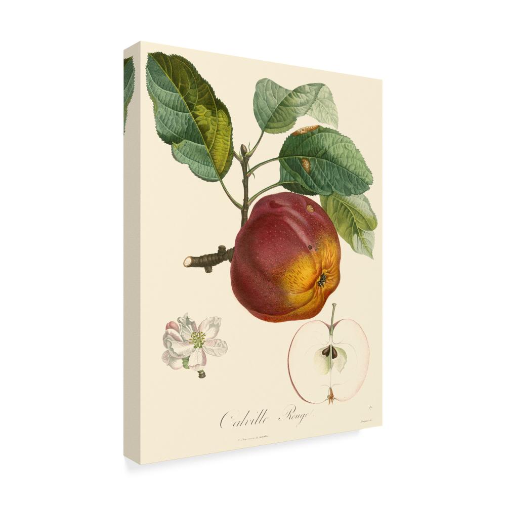 Trademark Fine Art WAG03928-C3547GG Wall-Art - View #2