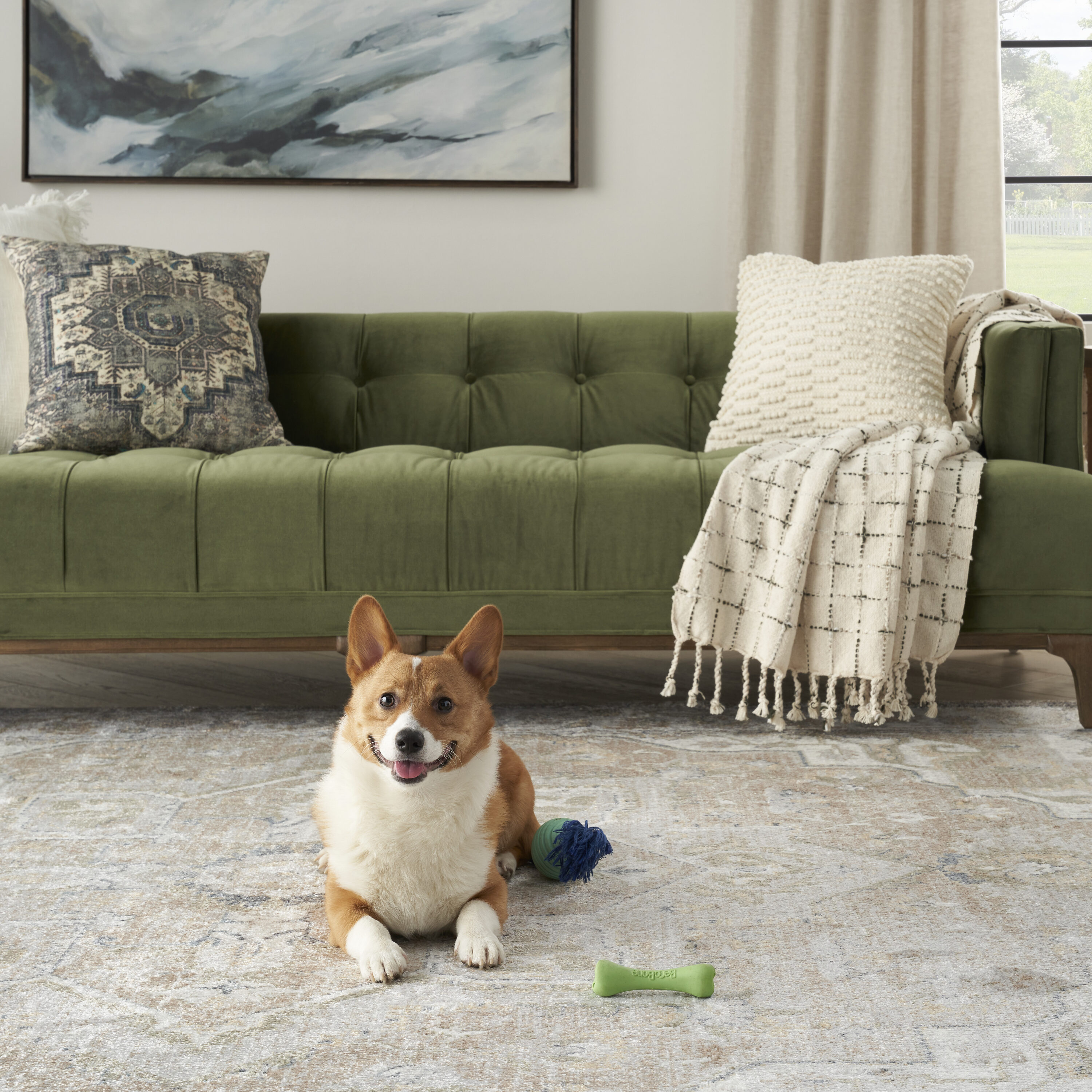 Nourison 099446125880 rugs - View #7