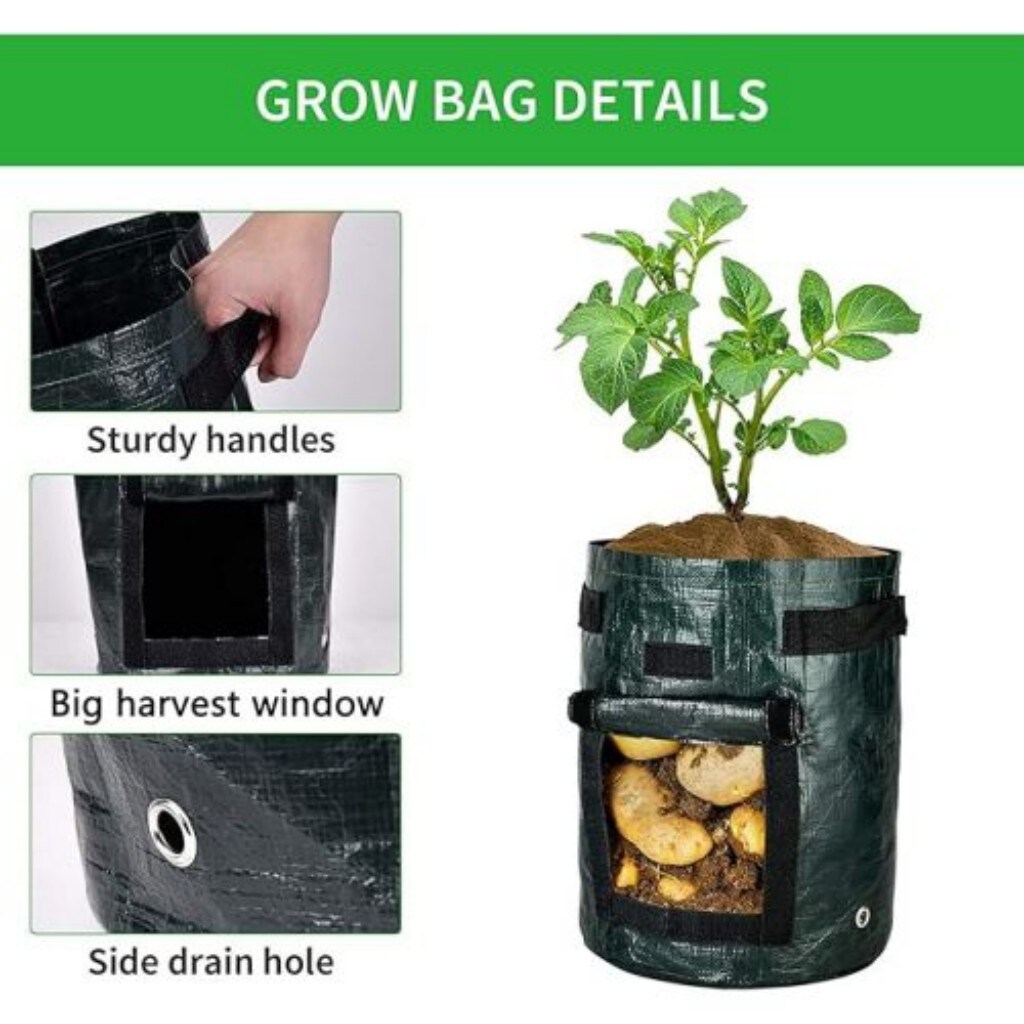 AHIOU HOME ZAAHG-P312466BG Planter-Window-Box - View #3