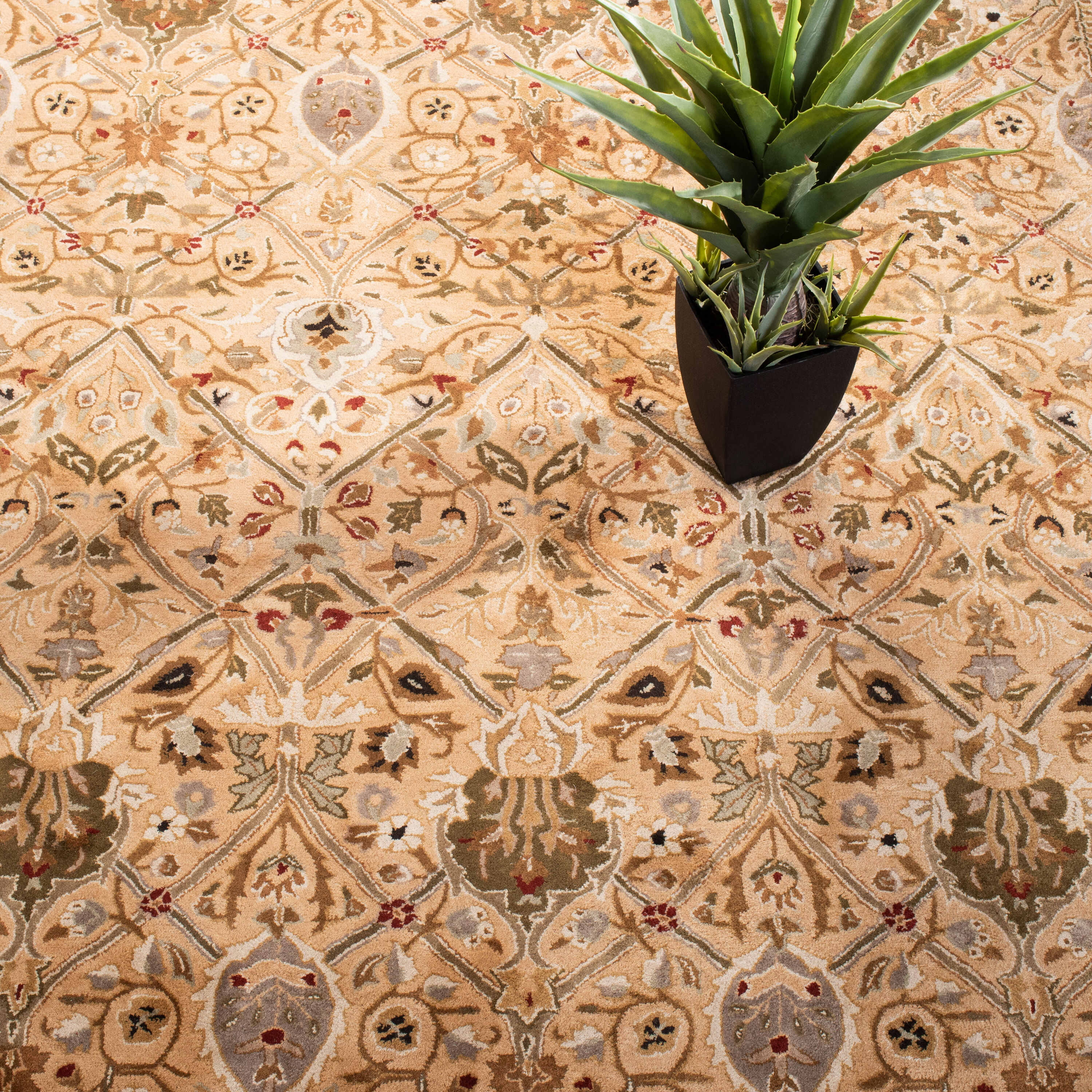 Safavieh PL519D-9 rugs - View #5