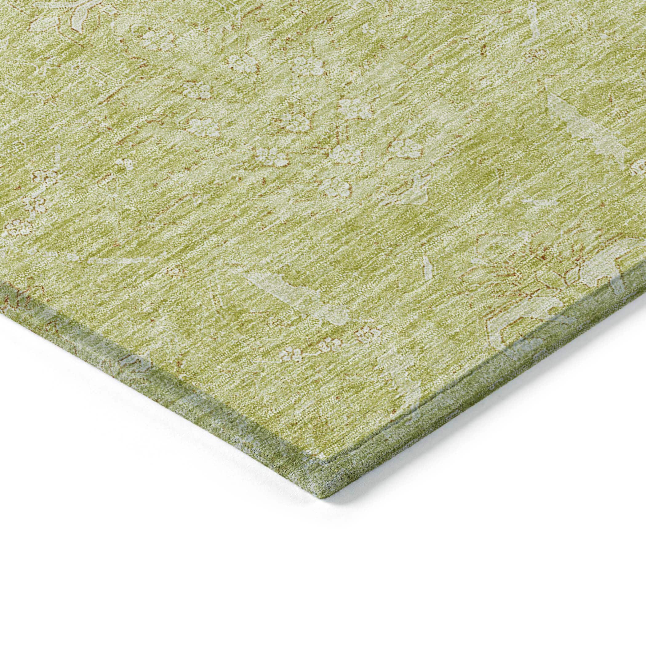 Addison Rugs ACN1083AL30X46 rugs - View #4