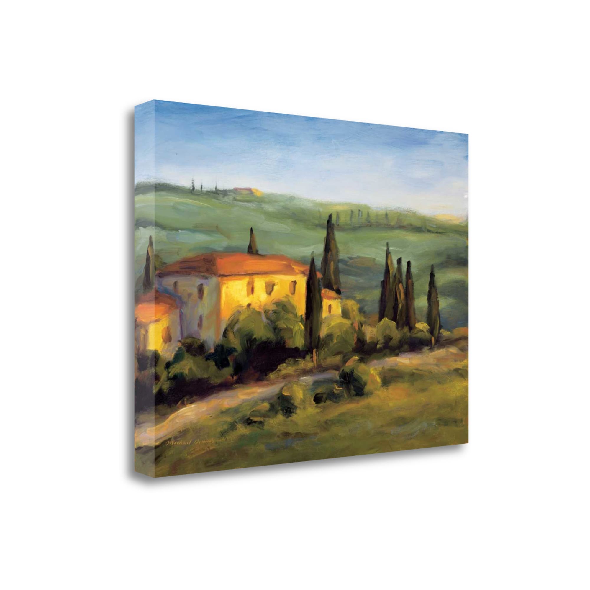 Tangletown Fine Art CA302654-2116C A Tuscan Morning Michael Downs 16-in H x 21-in W Landscape Print on Canvas