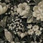 Ebony and Pale Fern