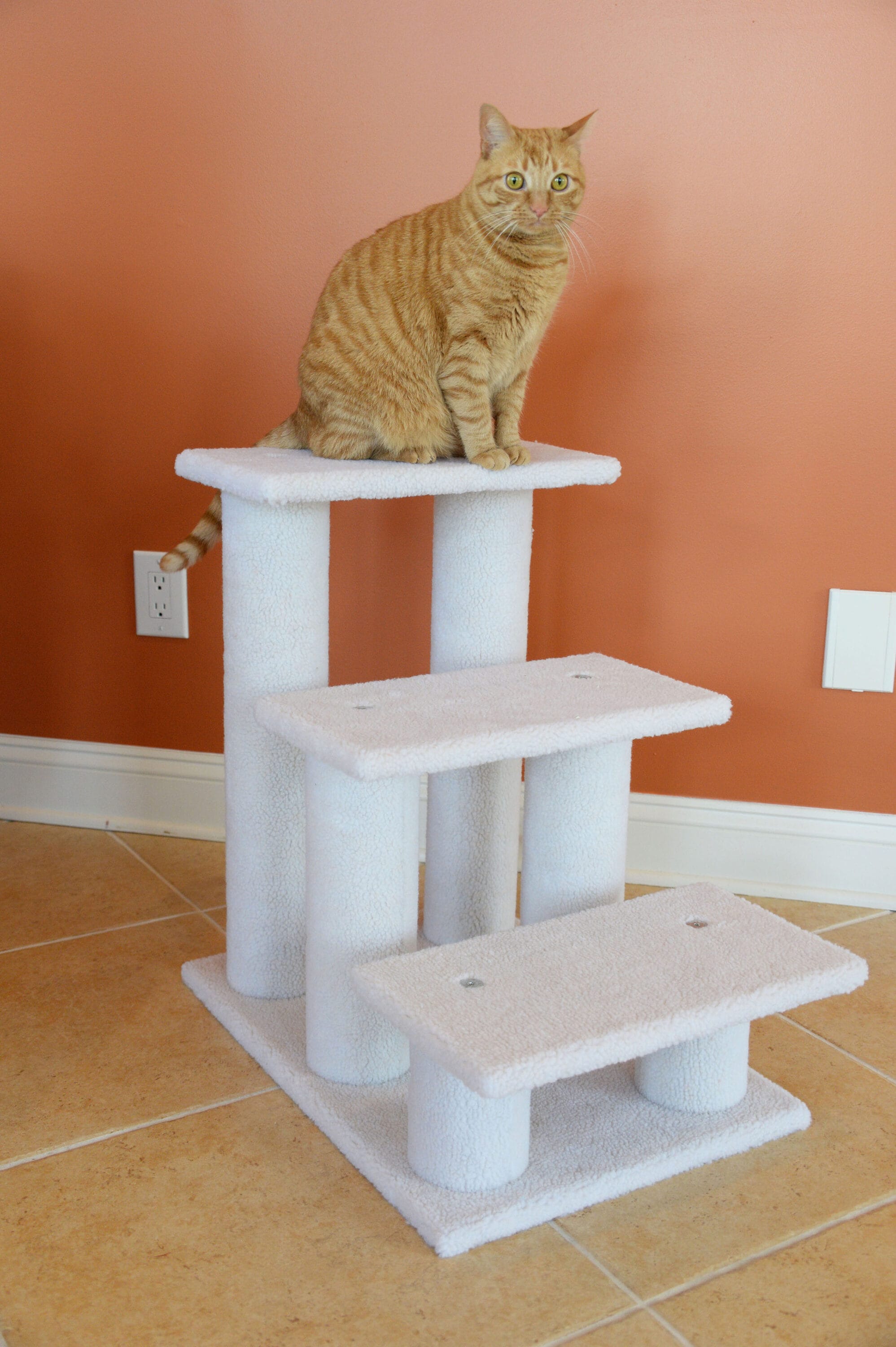 Armarkat B3001 Pet-Steps - View #8