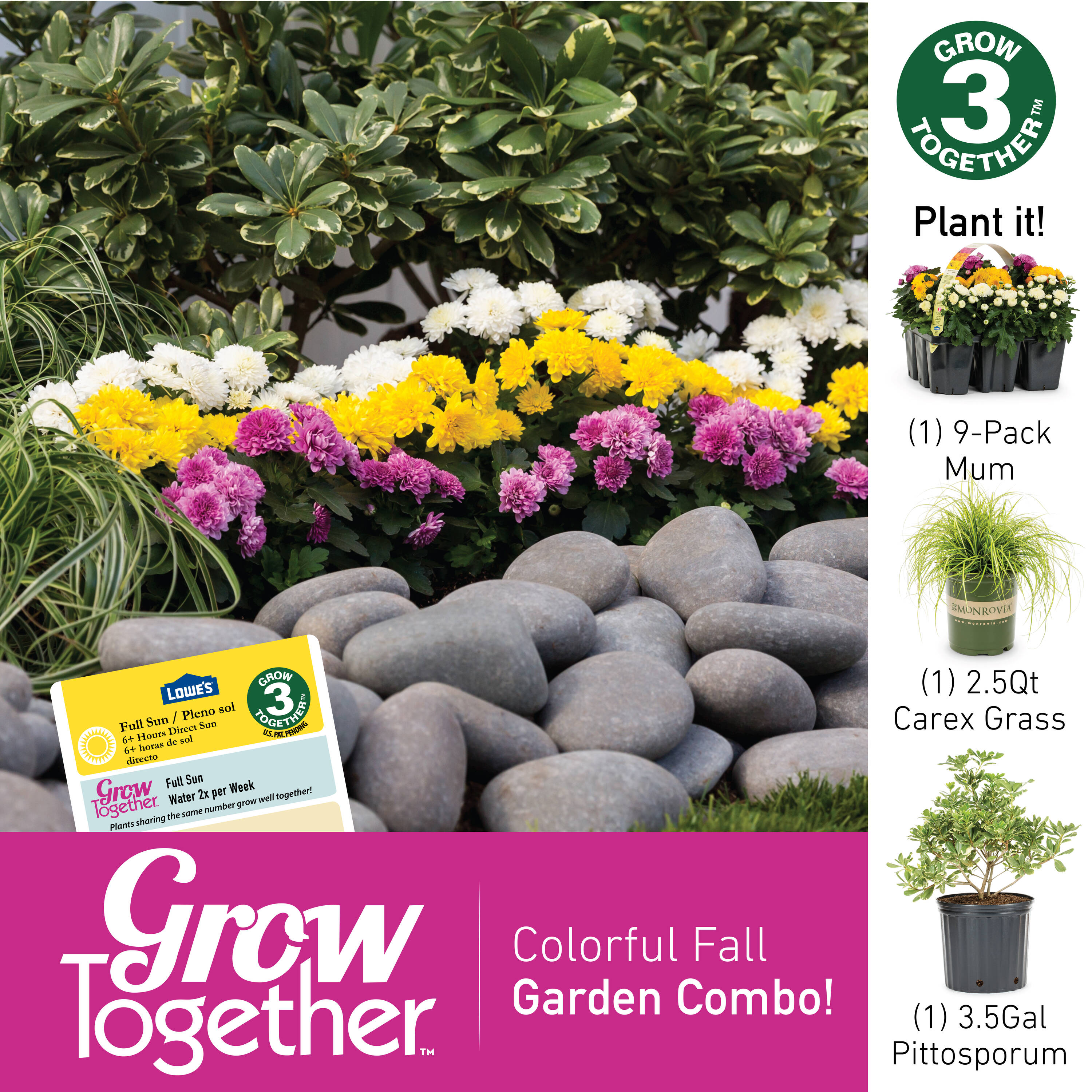 Lowe's 857961 annuals - View #3