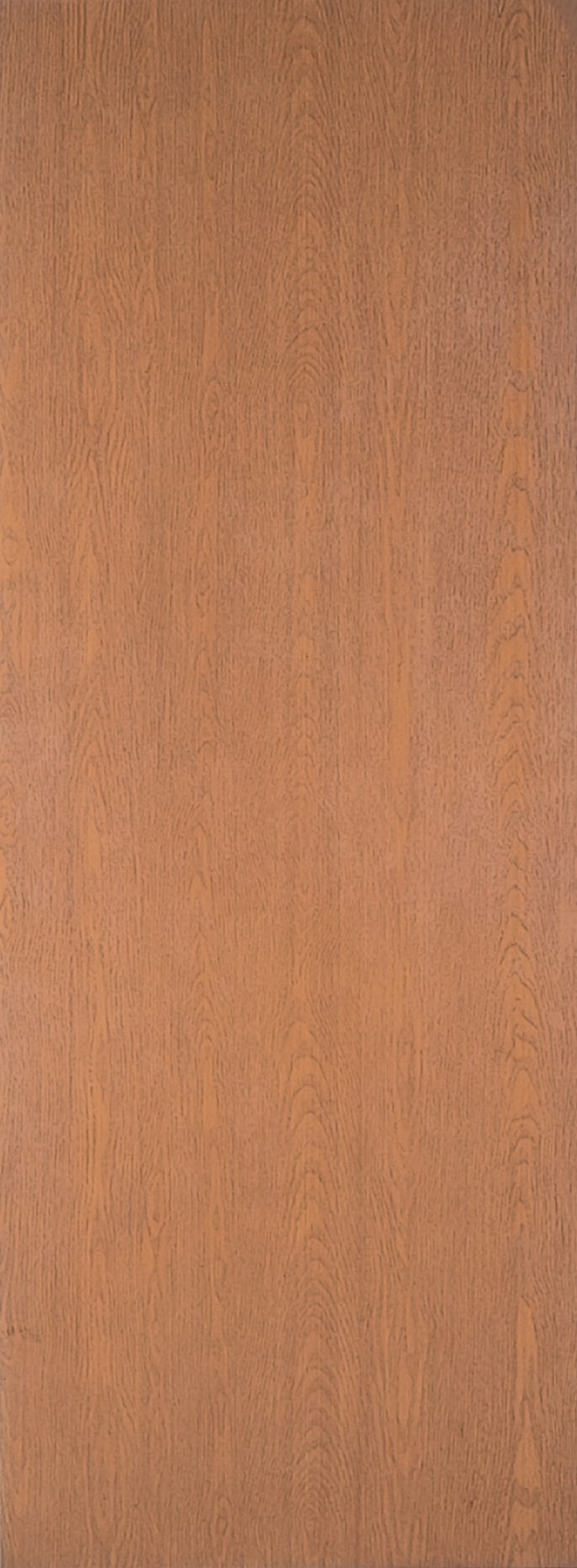 RELIABILT 395091 Classics 20-in x 80-in Solid Core Unfinished Lauan Veneer Slab Door