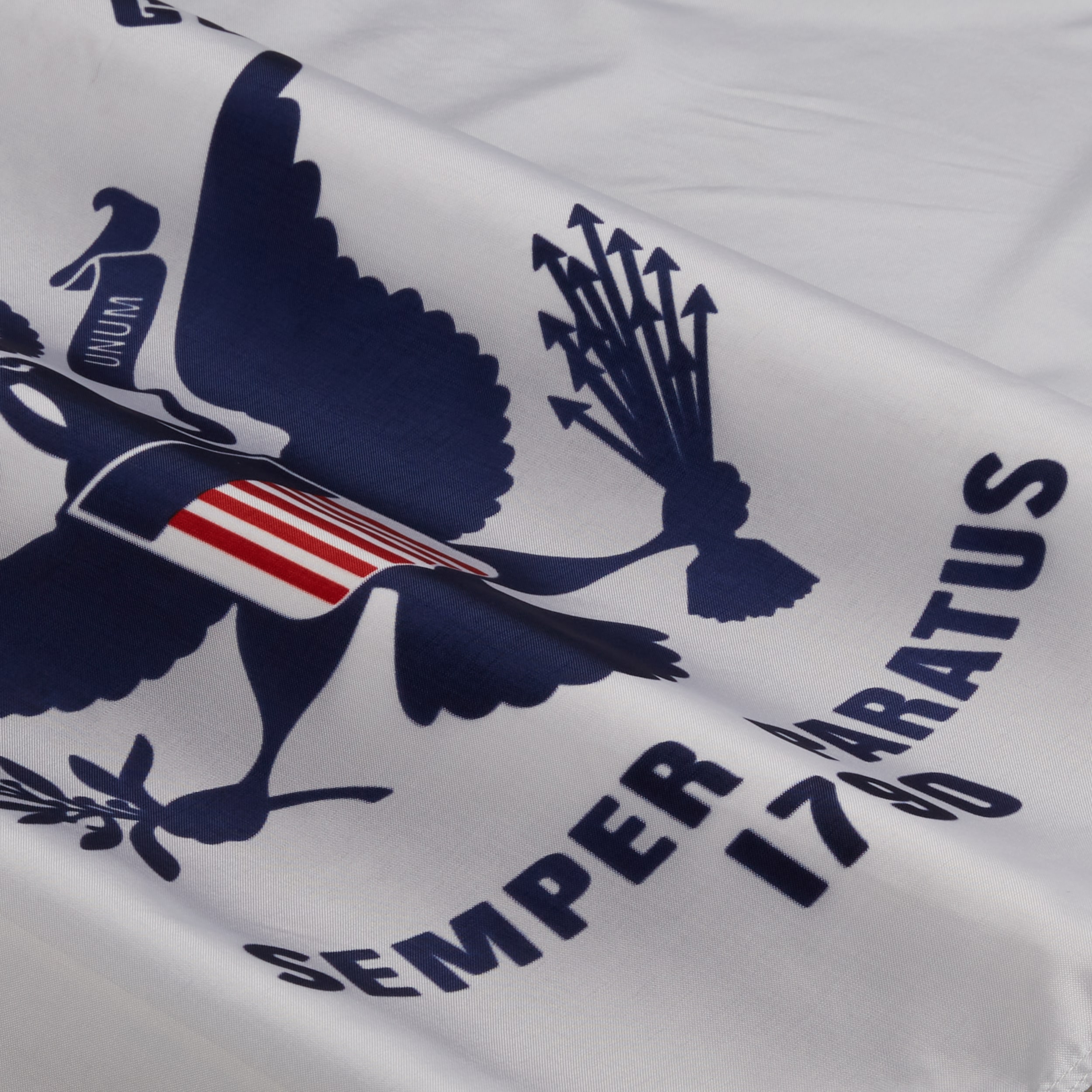 Independence Flag 10772 Decorative-Banner-Flags - View #4