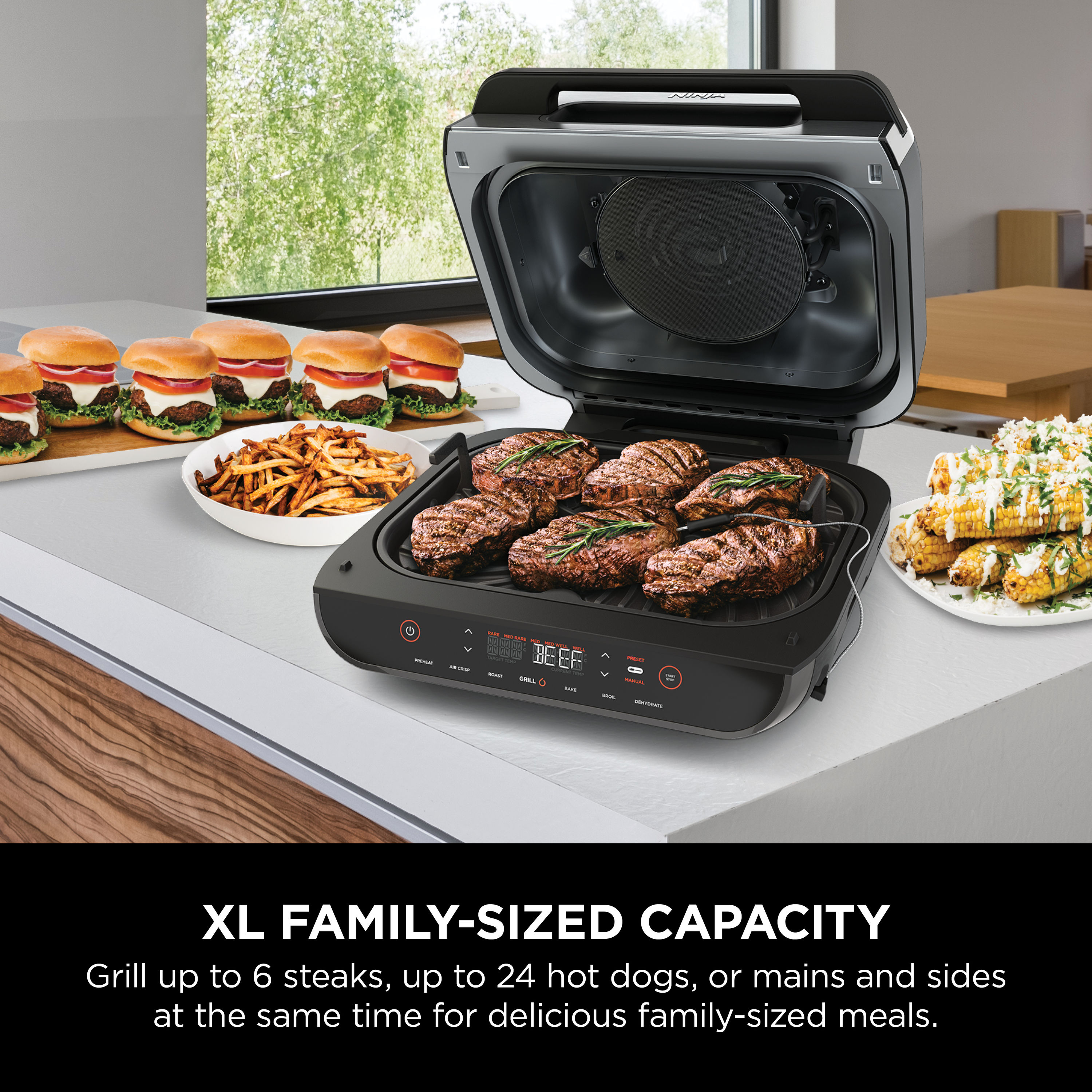 De'Longhi Compact 3-in-1 Panini Grill, Silver, ETL Listed, Removable  Plates, 800W, Vertical Storage in the Indoor Grills department at
