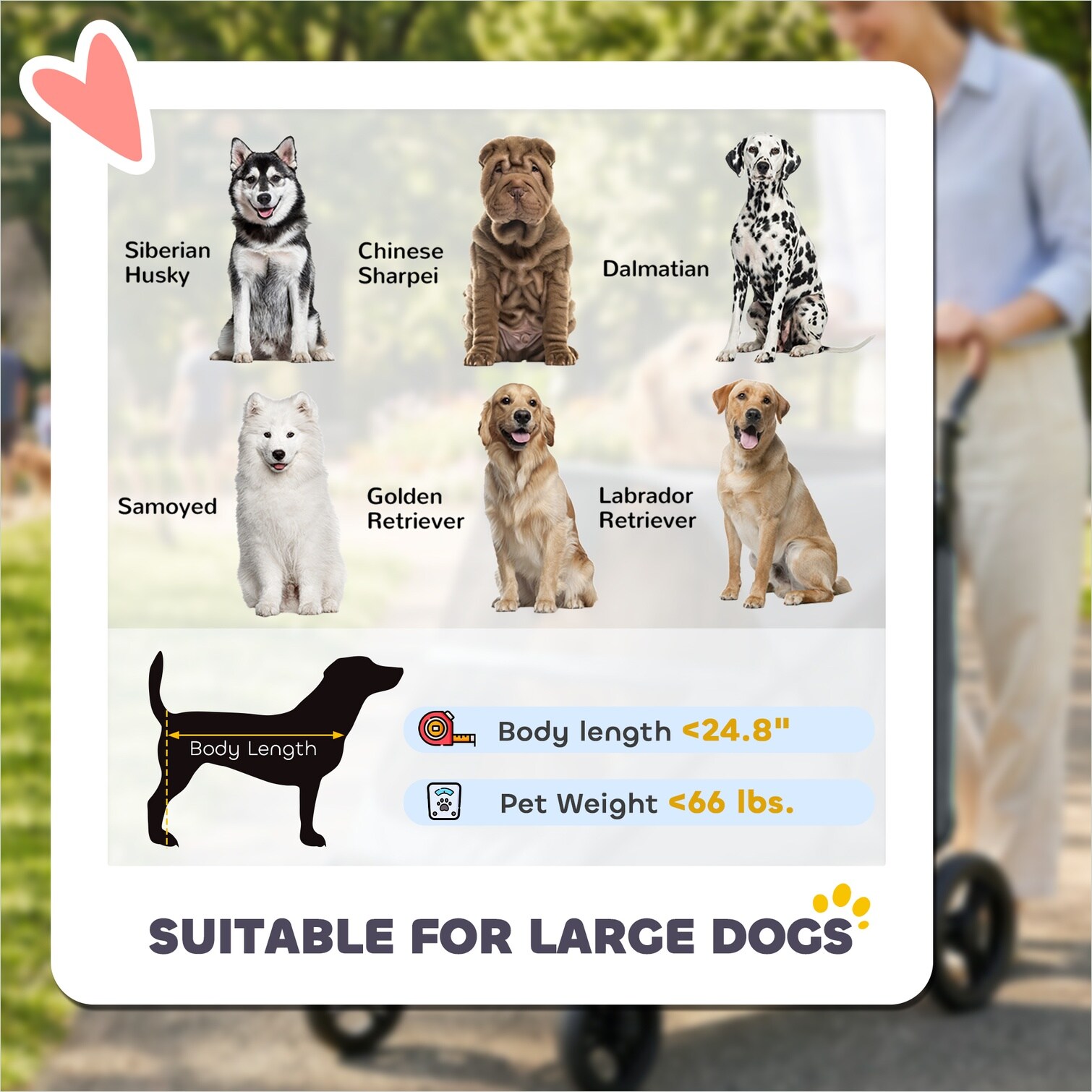 BBabe 8JLW5FE6FR9W Pet-Strollers - View #5