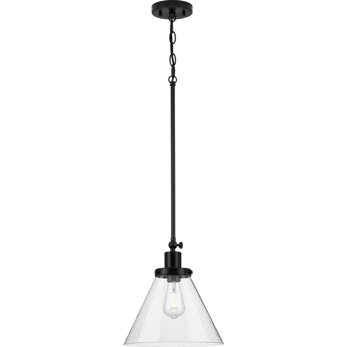 Progress Lighting P500324-031 Pendant-Lights - View #10
