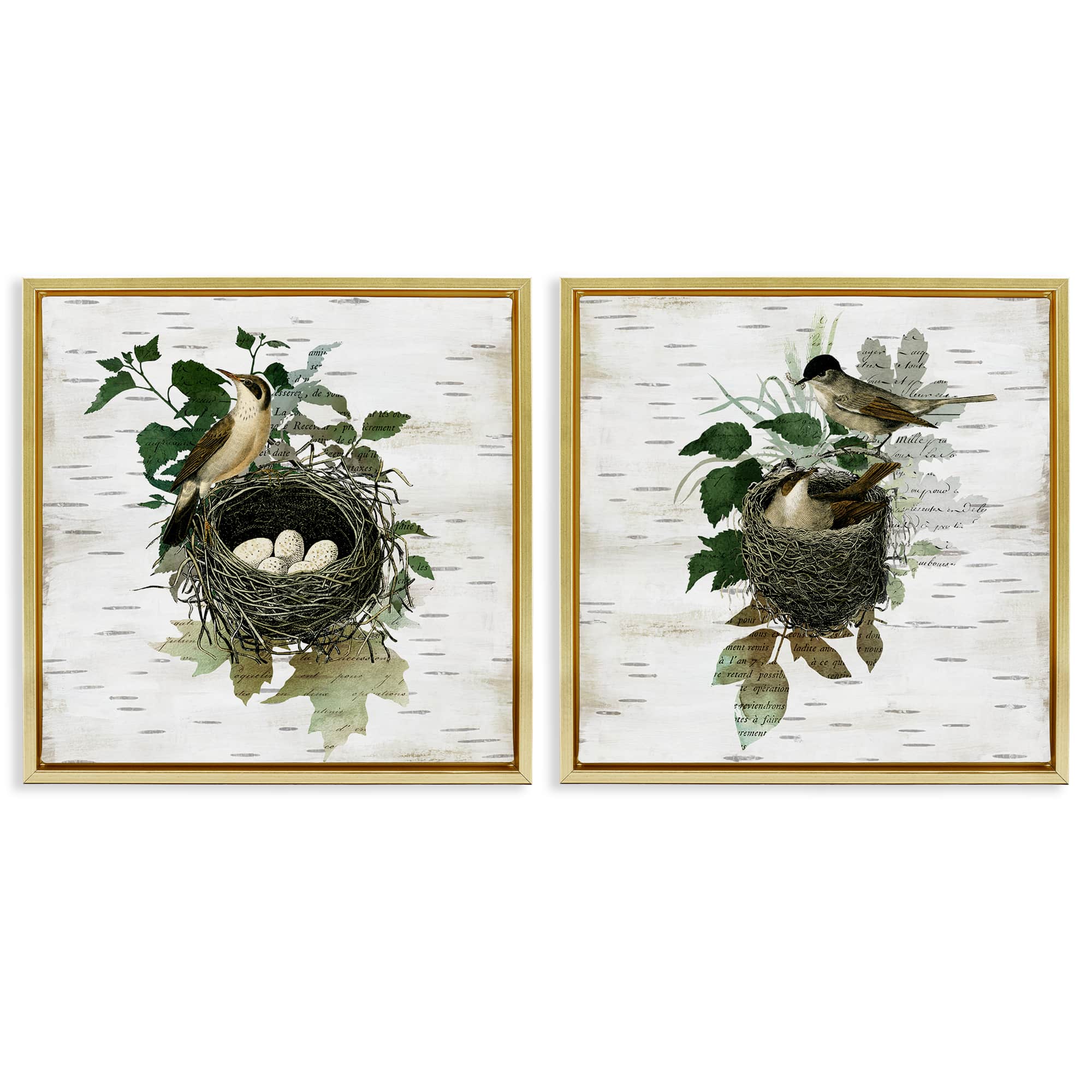 Stupell Industries B2-749-FFG-2PC-24X24 Rustic Vintage Bird Nests 2pc Floating Frame Set design by Susan Arnot