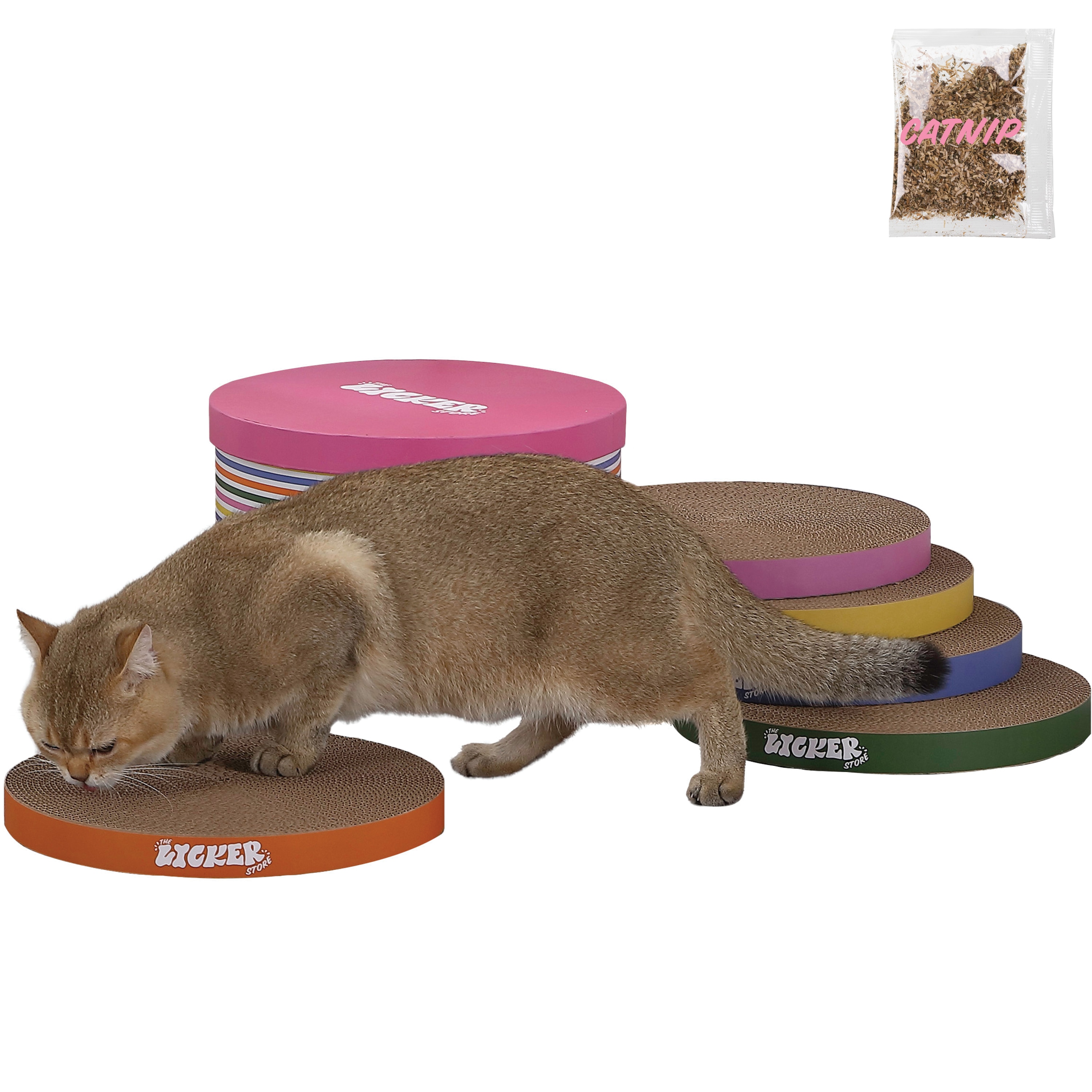 The Licker Store CSR1012A 6.5-in x 13-in Multiple colors/finishes Cat Shelf