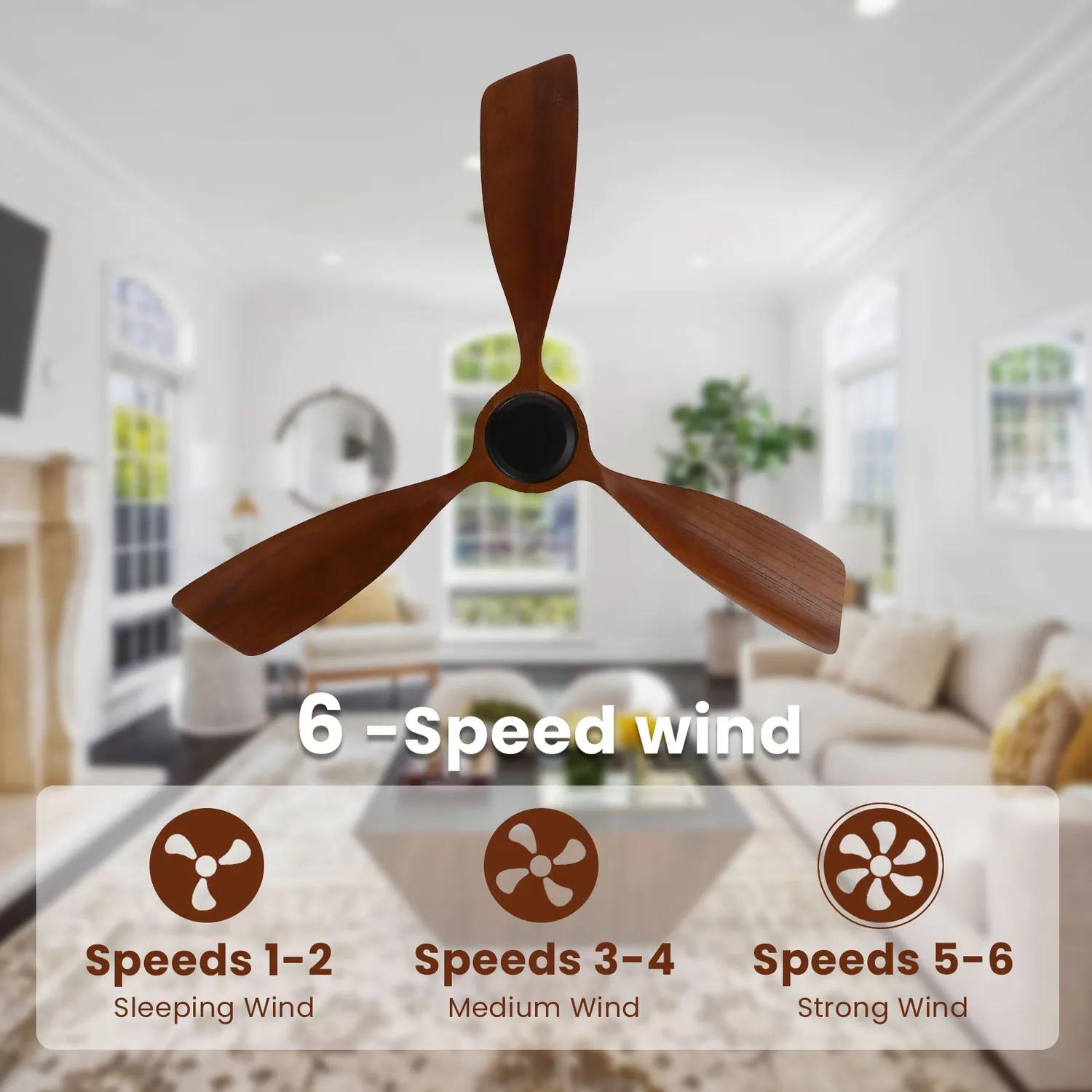 Bayfeve BFHM-71236-CF Ceiling-Fans - View #8