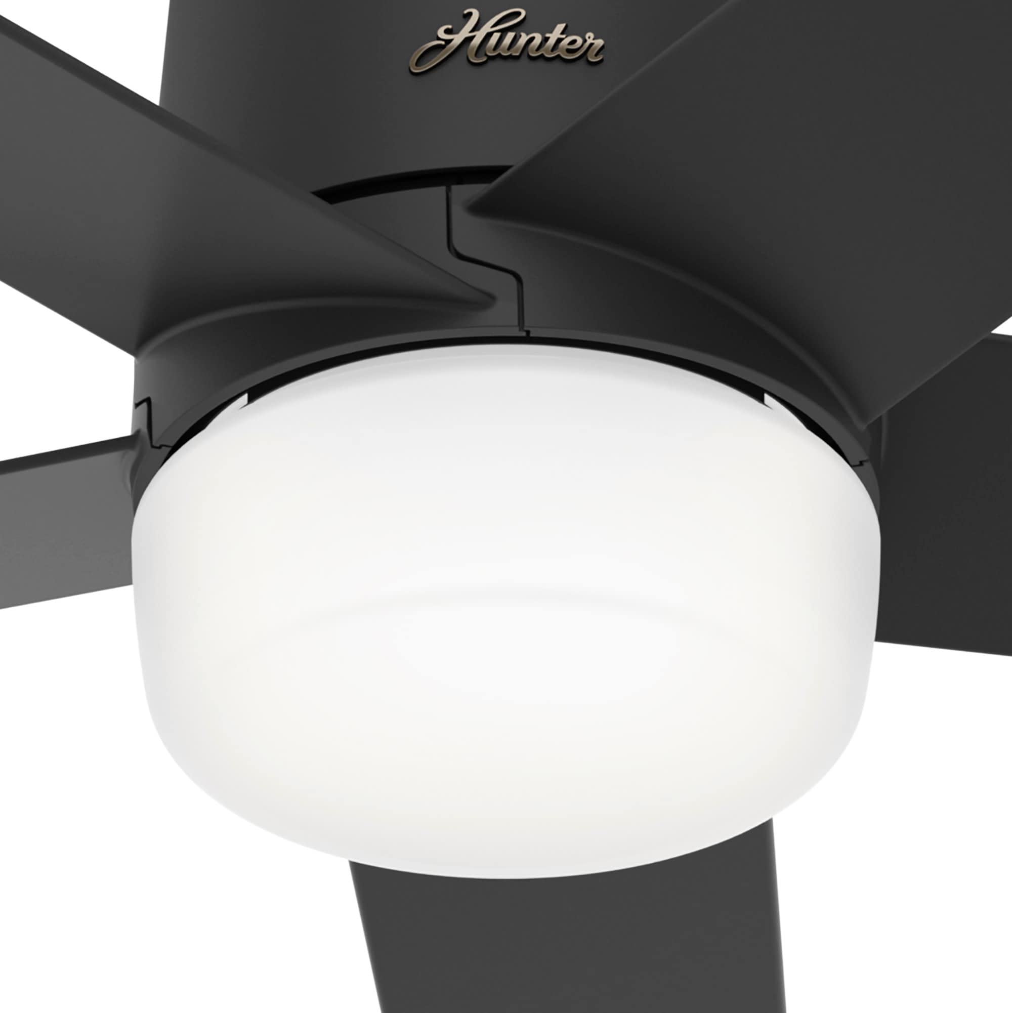 Hunter 51198 Ceiling-Fans - View #13
