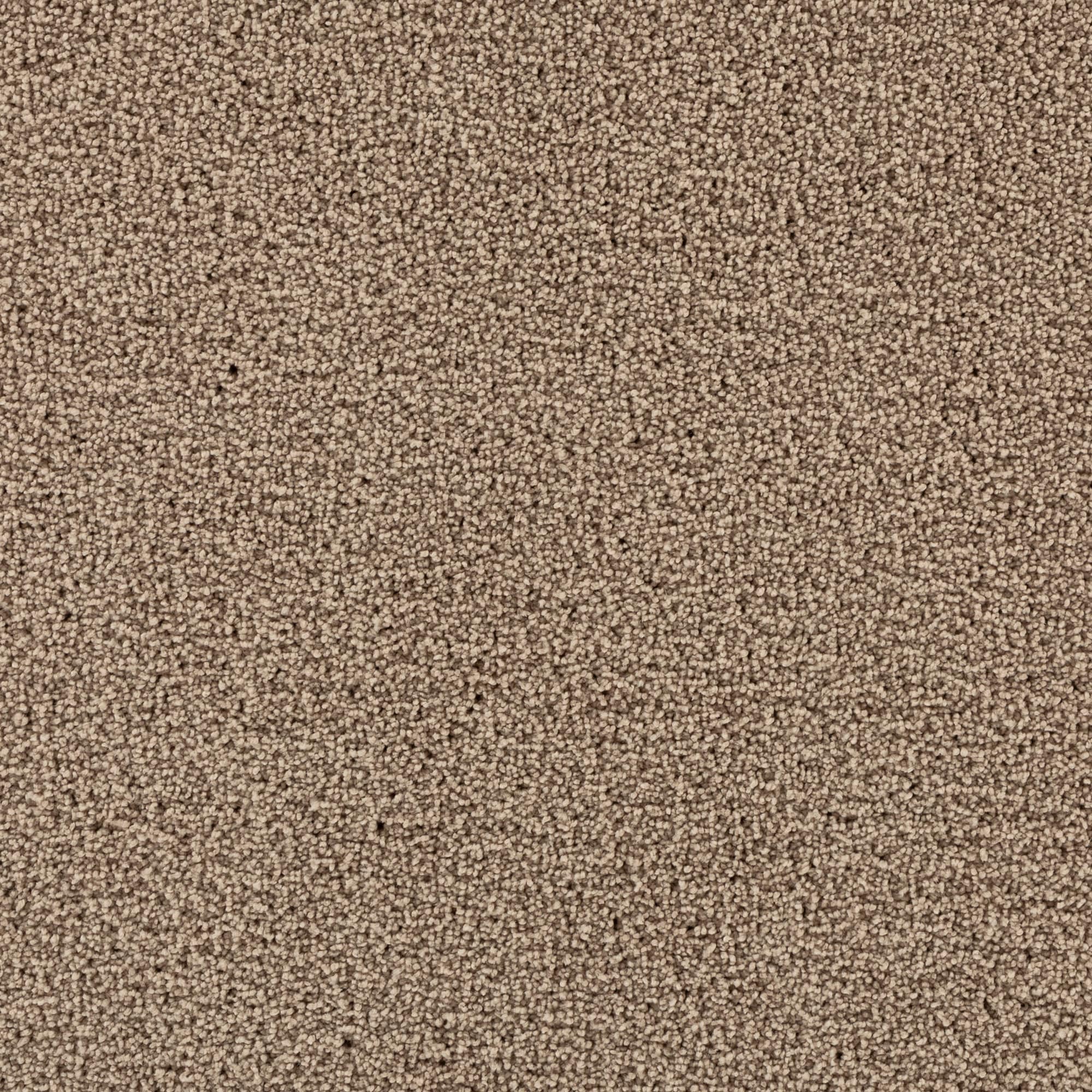 STAINMASTER STP43-12-L007 Soothing space I Parisian Beige Brown 45-oz sq yard Polyester Textured Indoor Carpet