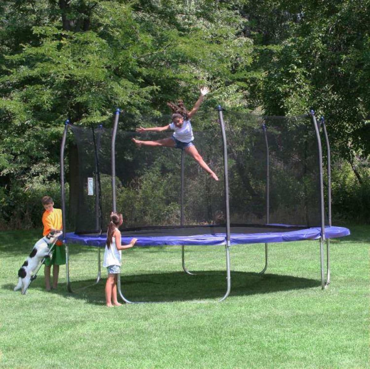 Skywalker SWTC13N trampolines - View #9