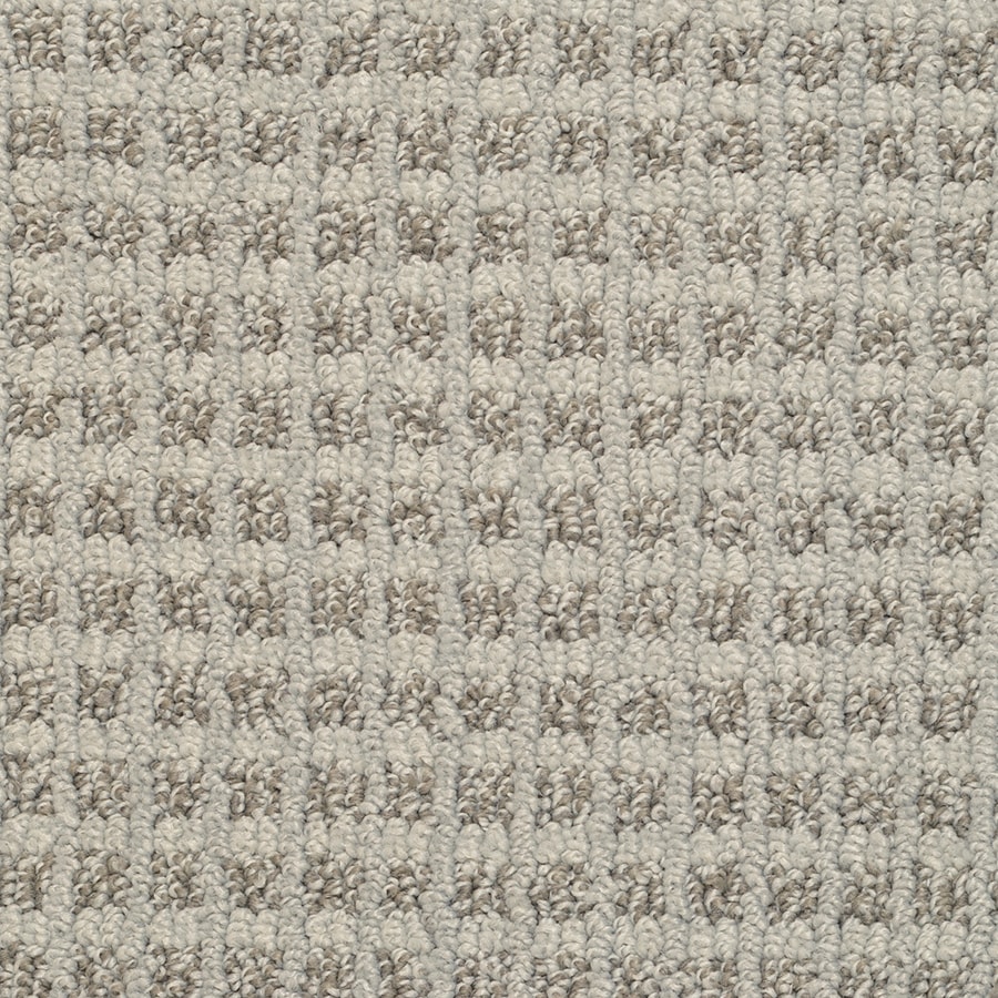 STAINMASTER 4602-130 Medford Cloudscape Pattern Indoor Carpet