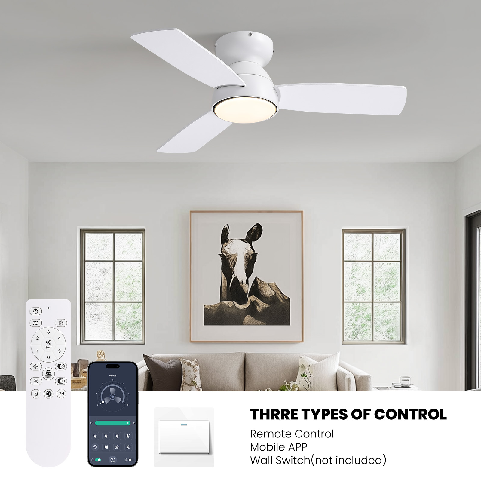 Liwidu LWOS1177-02 Ceiling-Fans - View #5