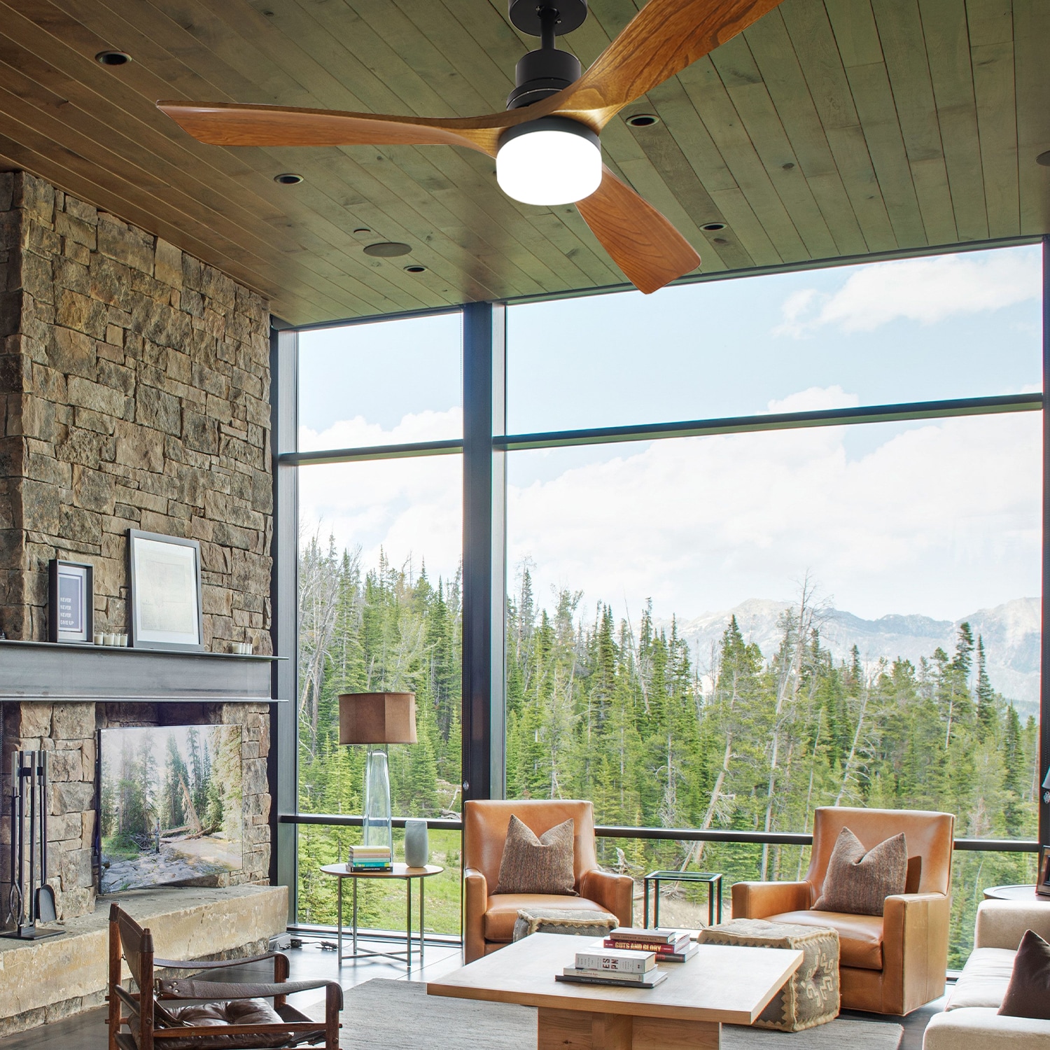 ExBrite LWYFZPFL5202BR Ceiling-Fans - View #10