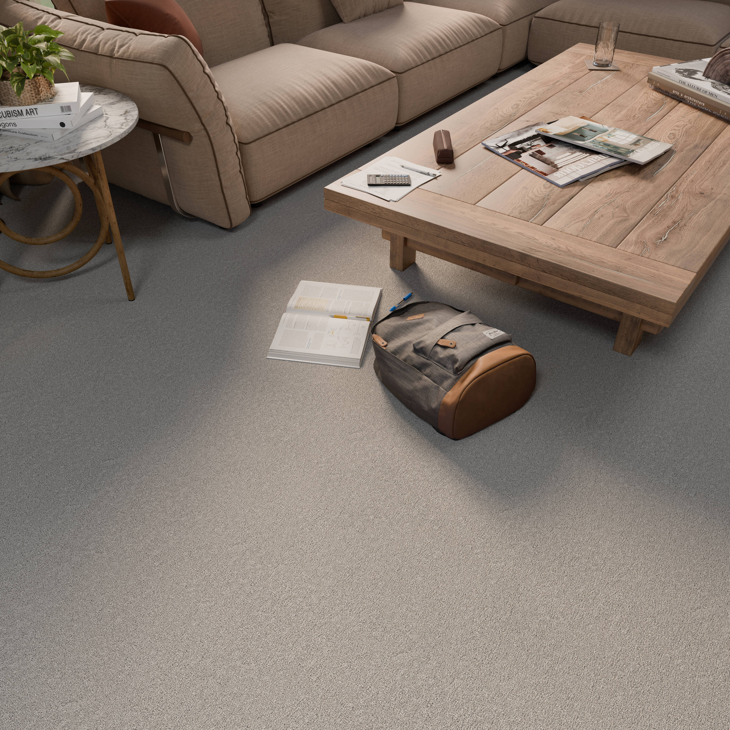 STAINMASTER PetProtect 7L972-503-SAMP Carpet-Samples - View #5