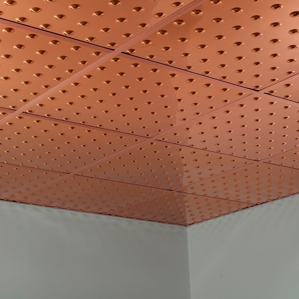 Fasade PL6325 Ceiling-Tile - View #4