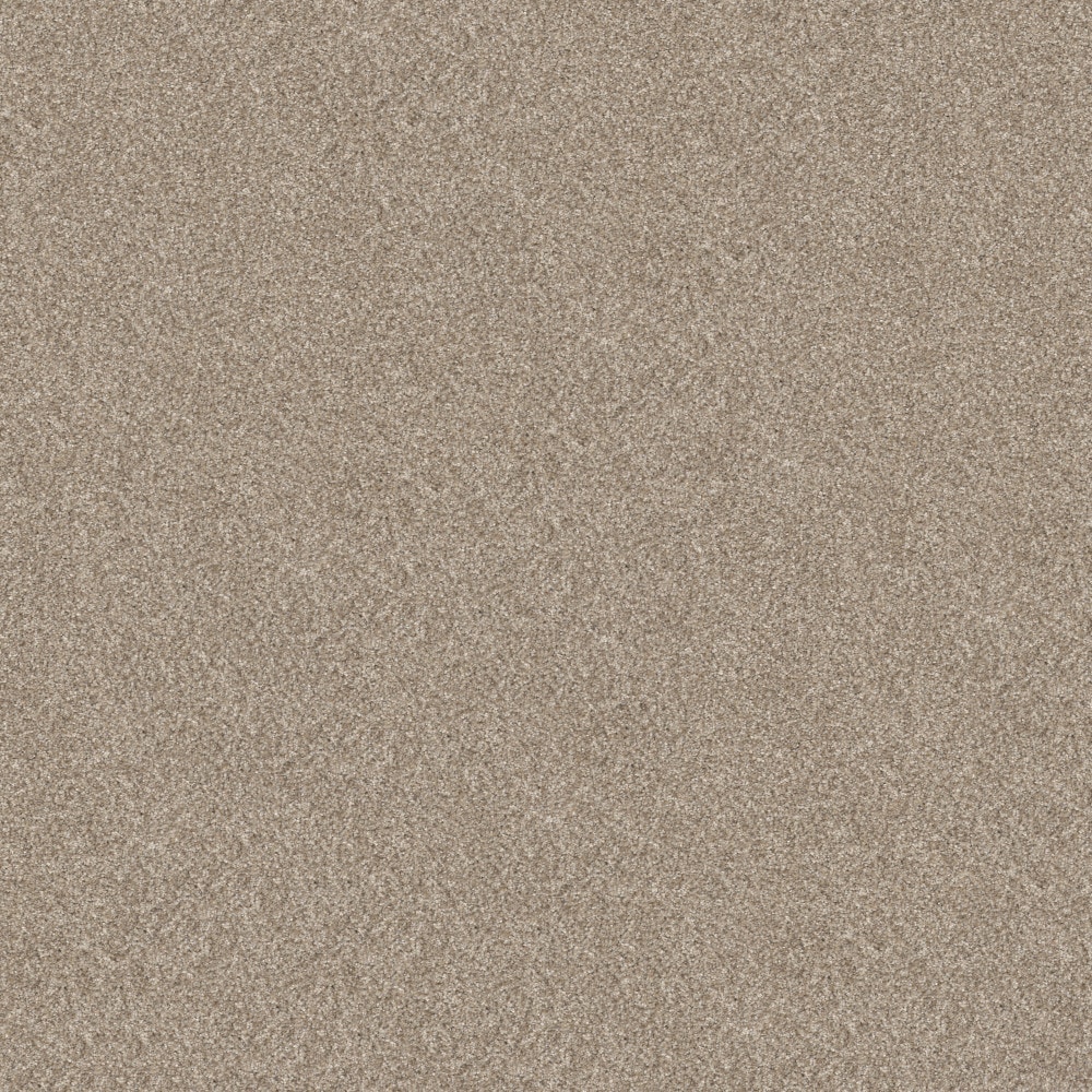 STAINMASTER 7L956-106-SAMP (Sample) 8-in x 8-in Animated II Soft Sand Gray 63.4-oz sq yard Solution-dyed polyester Textured Indoor Carpet