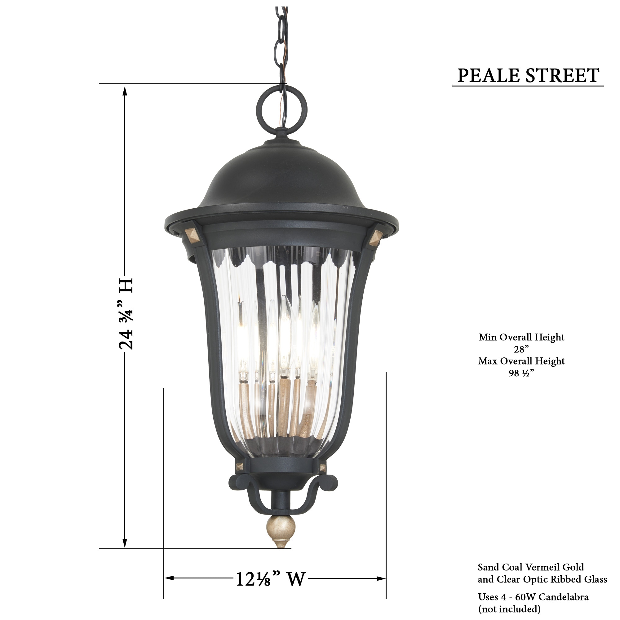 Peale Street Black and Gold 4-Light Outdoor Hanging Lantern
