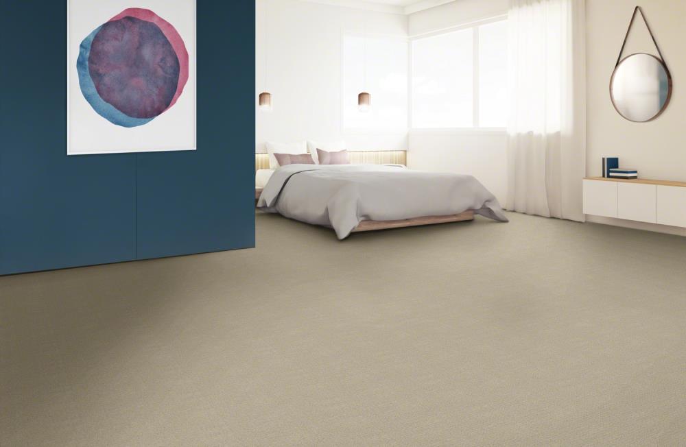STAINMASTER 7L77100190 Carpet-Panel - View #5