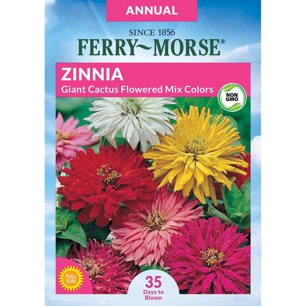 Set of 50 Flower Seed Packets! Flower Seeds in Bulk (50, Zinnia Cali Giant)  - Made in The USA