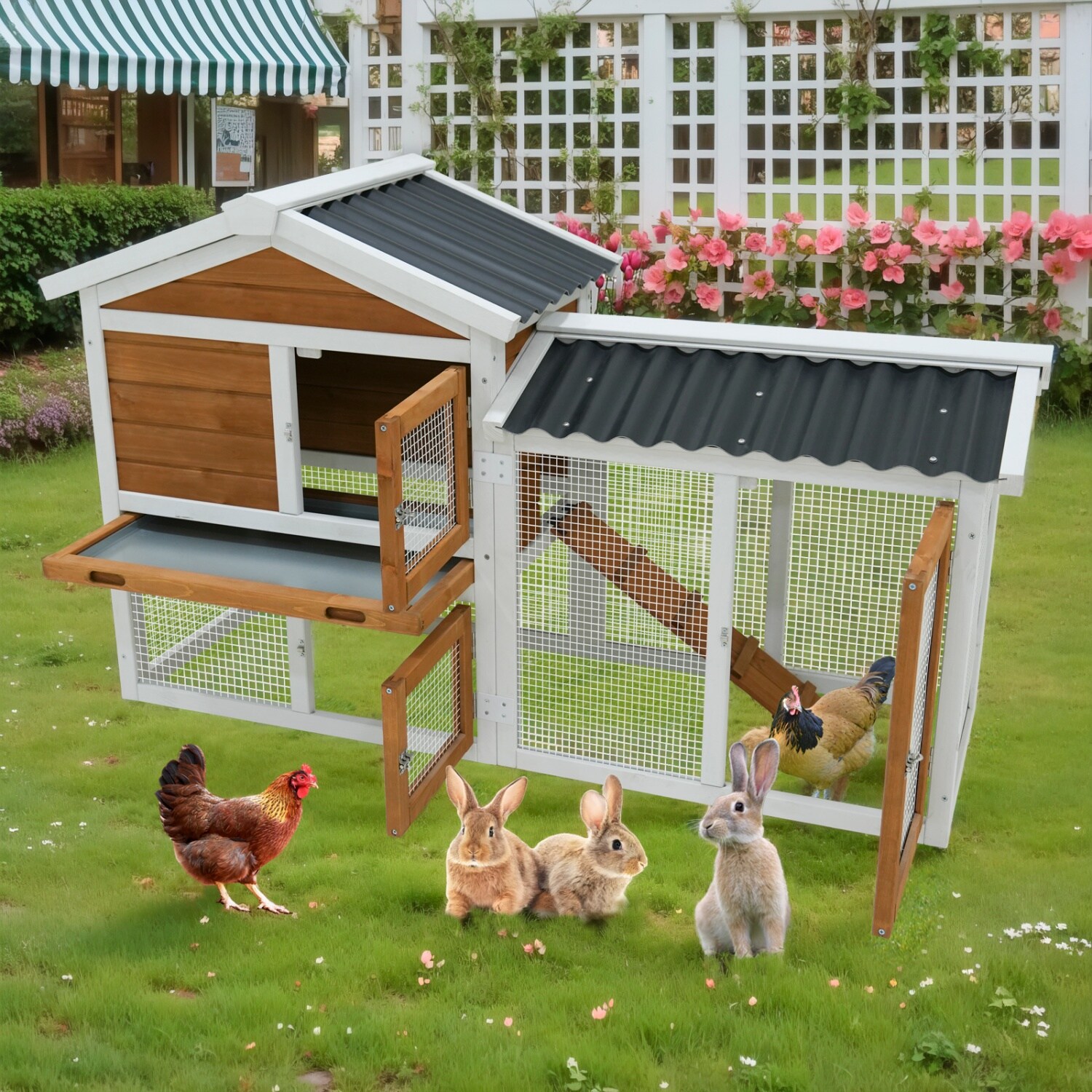 Mondawe MO-FW-41314 Chicken-Coops-Rabbit-Hutches - View #2