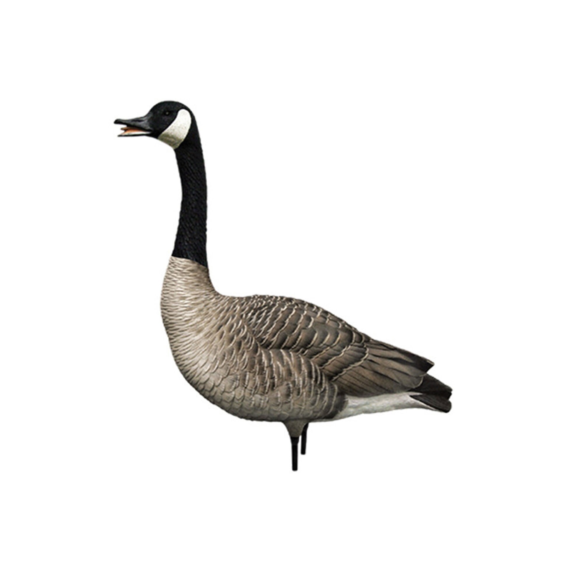  Avian X 408596 Hunting-Equipment - View #12