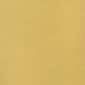 Brushed Golden Brass