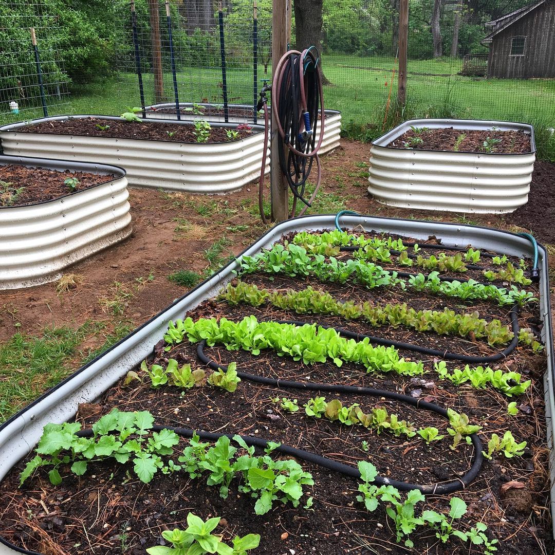 Vego Garden VB10N117W  - View #3