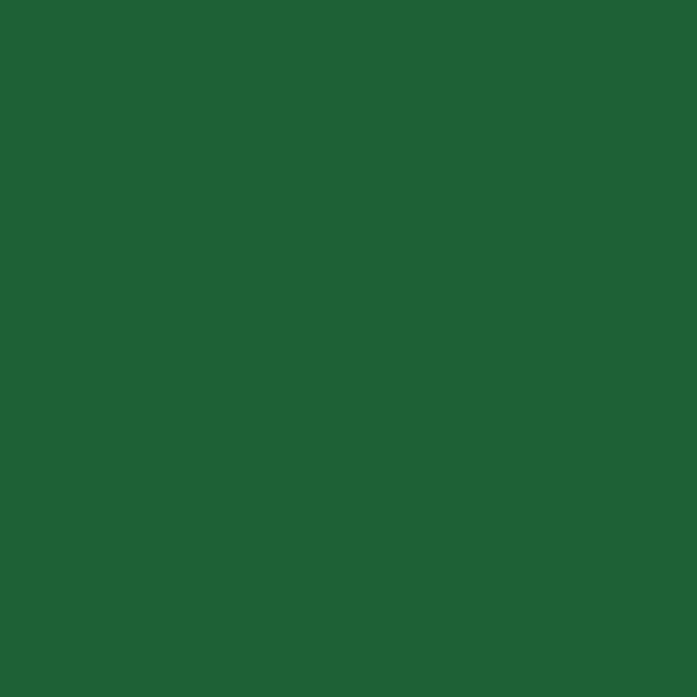 Montana Cans MXG-G6060 Spray-Paint - View #3