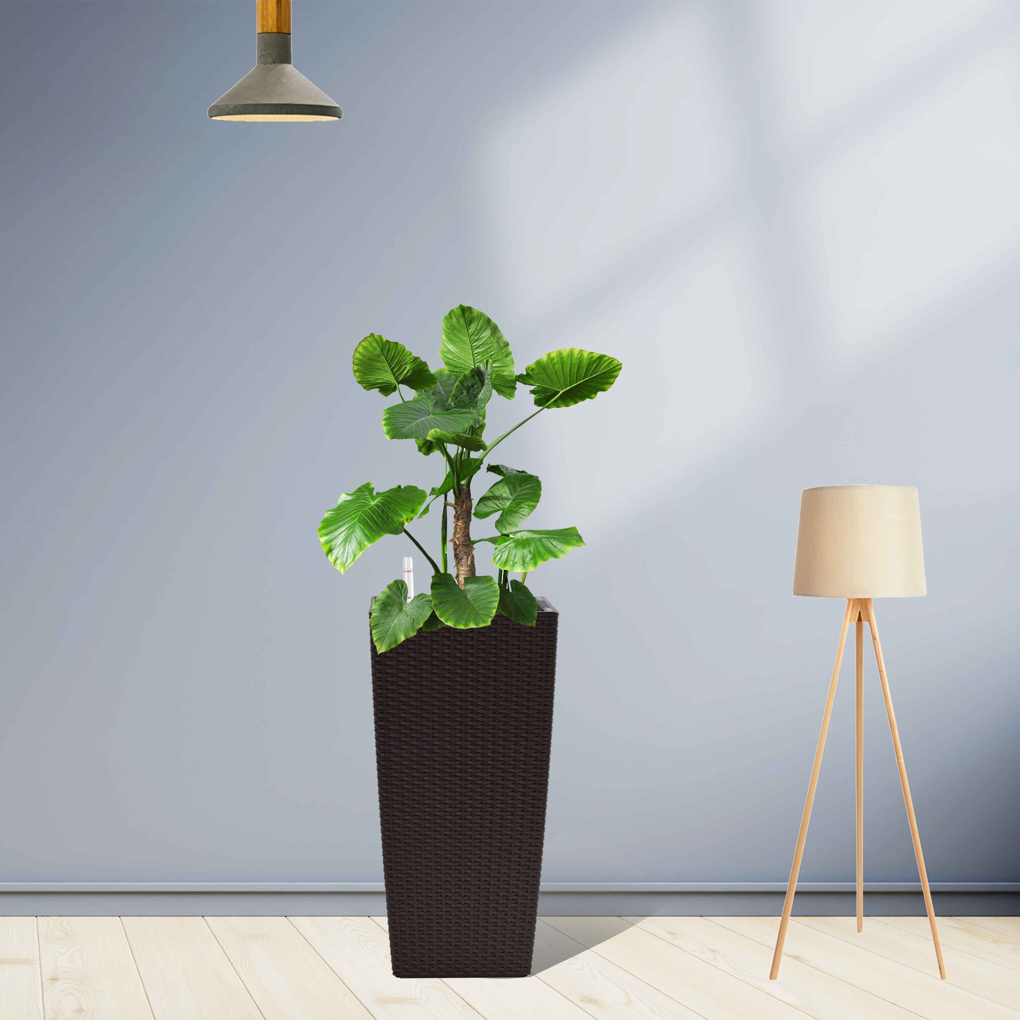 AHIOU HOME ZAAHG-P326365PP Planter-Window-Box - View #4