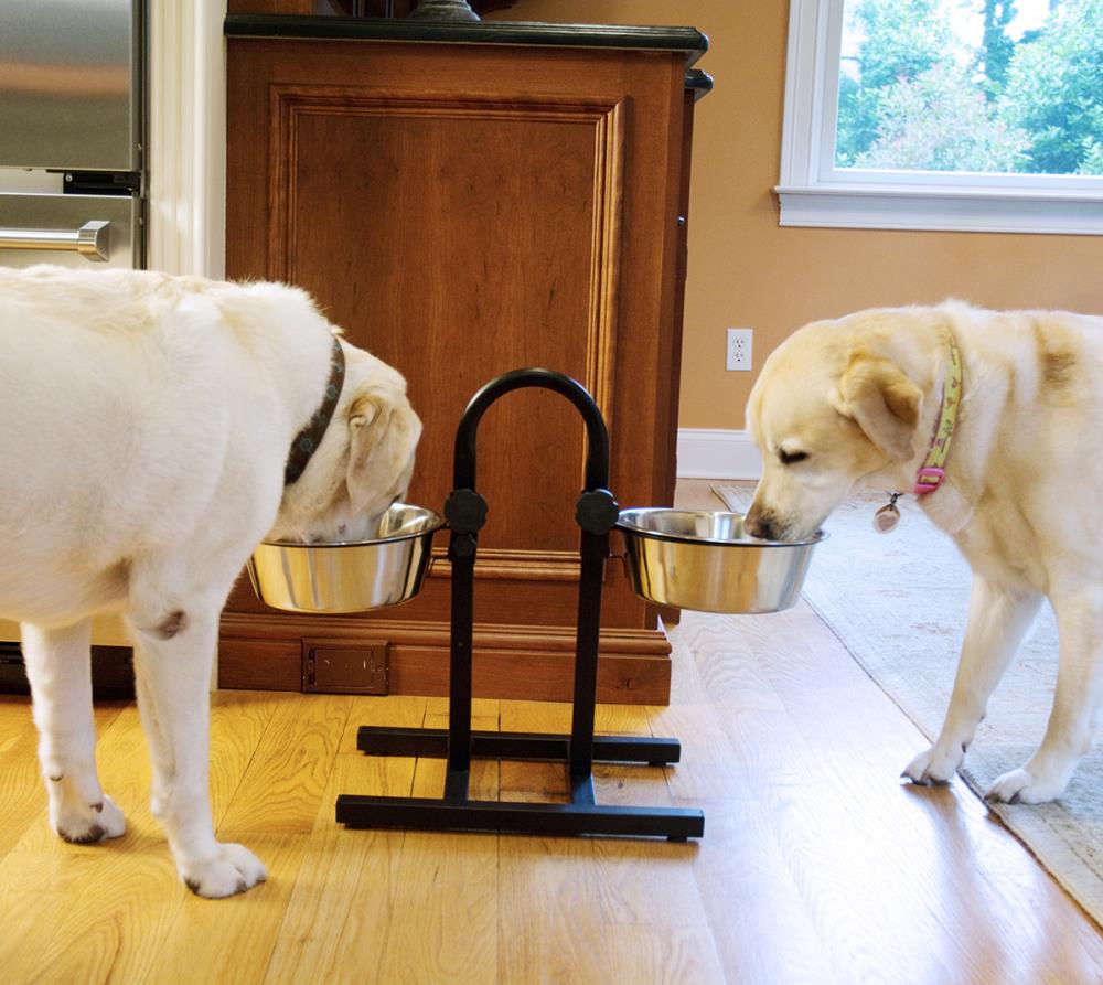 Iconic Pet 92184 Pet-Feeder - View #3