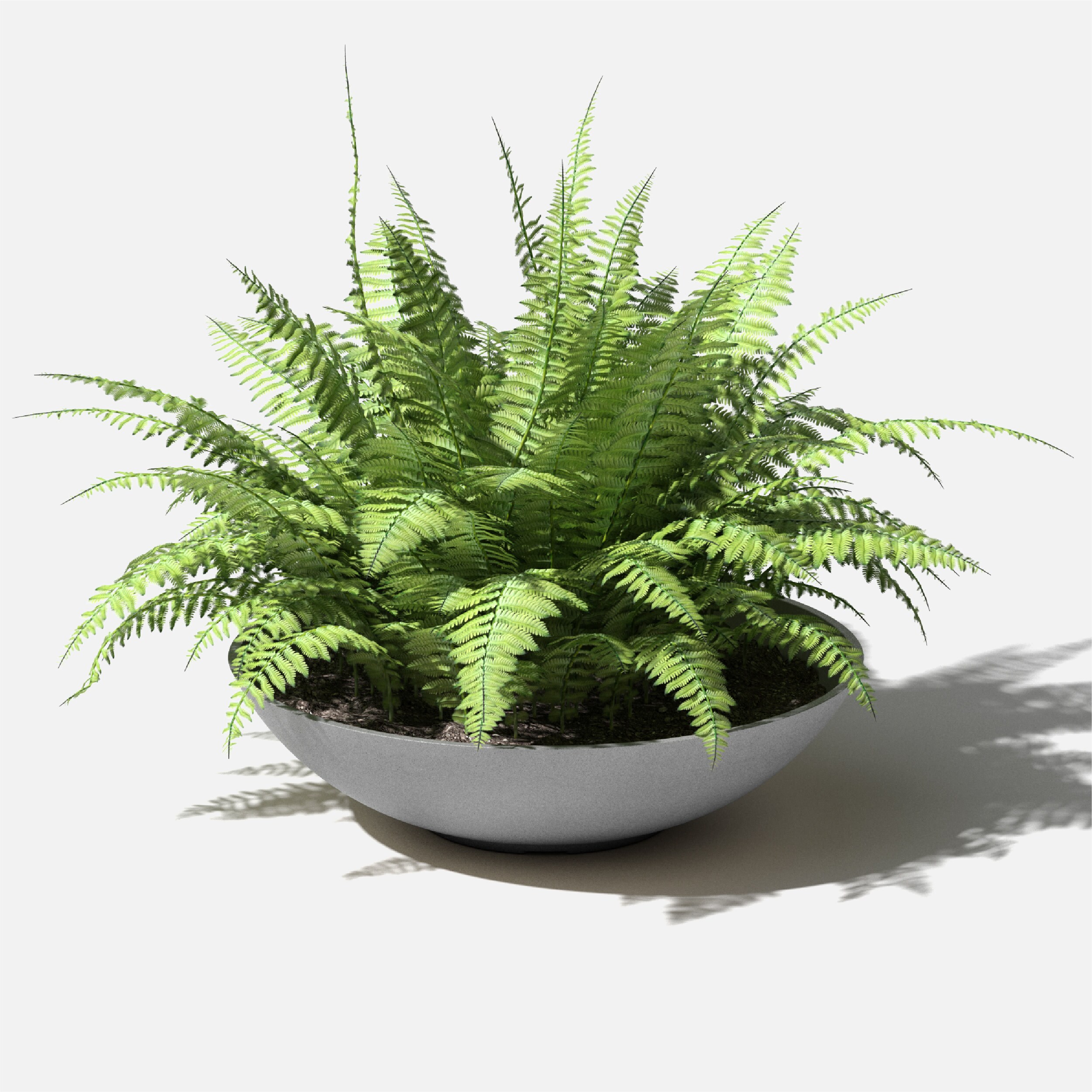 Veradek LBV24C Planter-Window-Box - View #8