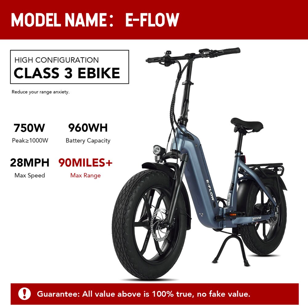 Young Electric 12803020DB bikes - View #2