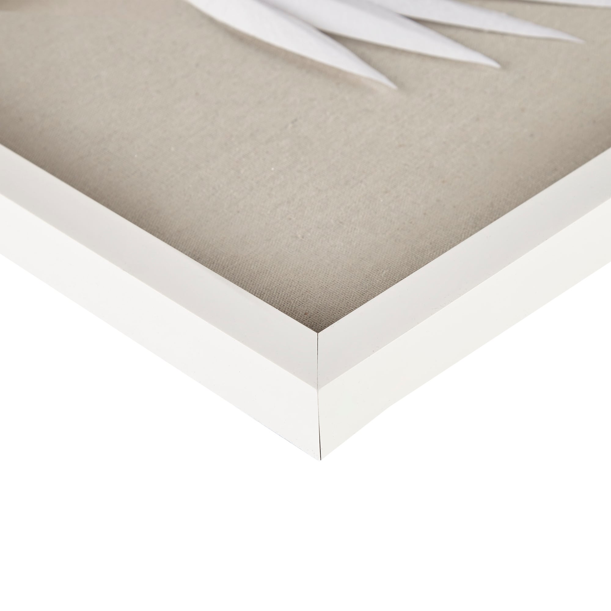 Off-White Framed Rice Paper Palm Leaves Shadowbox Set
