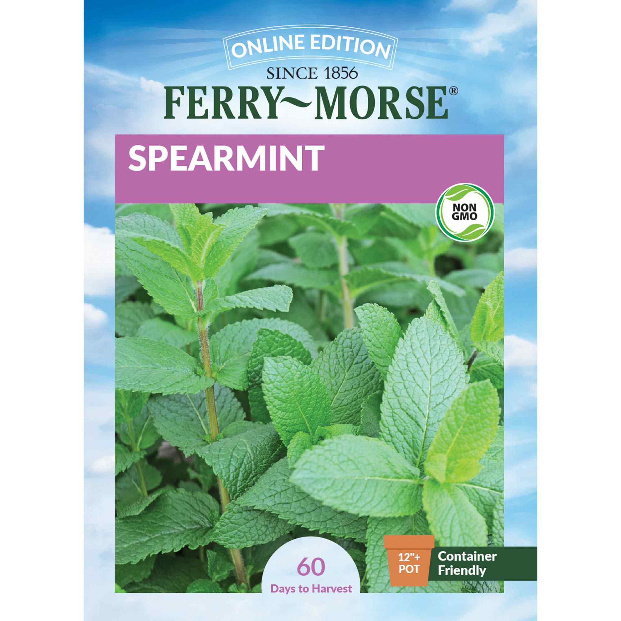 Ferry-Morse LC25.9018 Spearmint Seeds 200 Milligram(s)