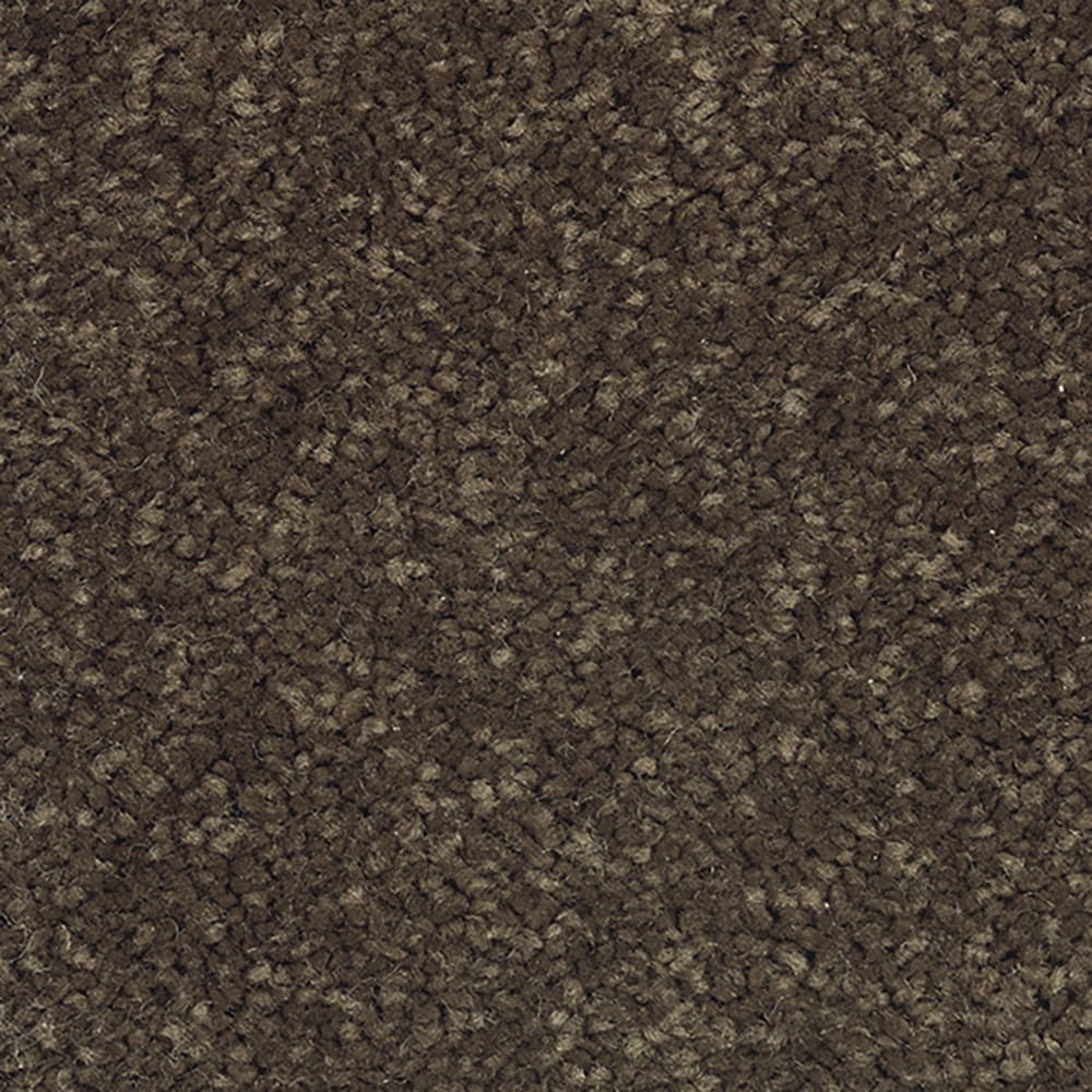 STAINMASTER LB034-12-L004 Bold Selection II Cinnamon Toast Brown 65-oz sq yard Polyester Textured Indoor Carpet