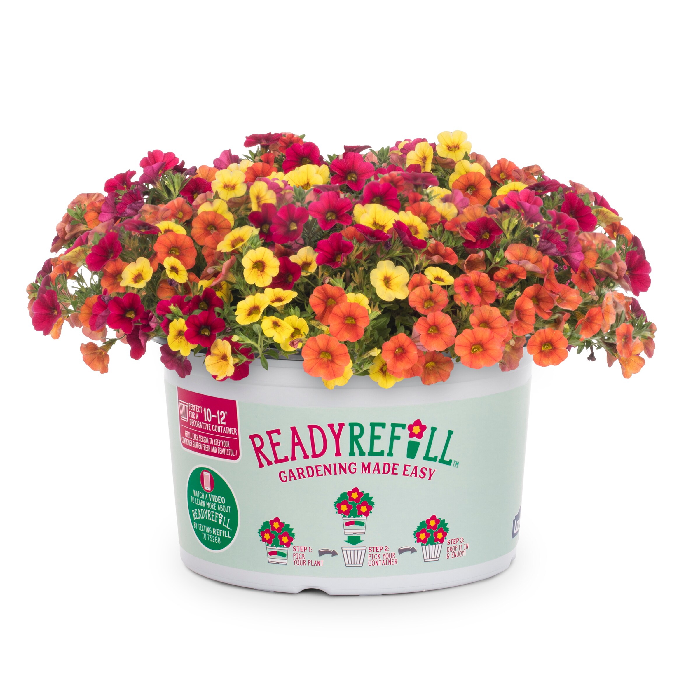 Lowe's NURSERY Multicolor Mixed Annuals in 1.5 Gallon(s) Pot