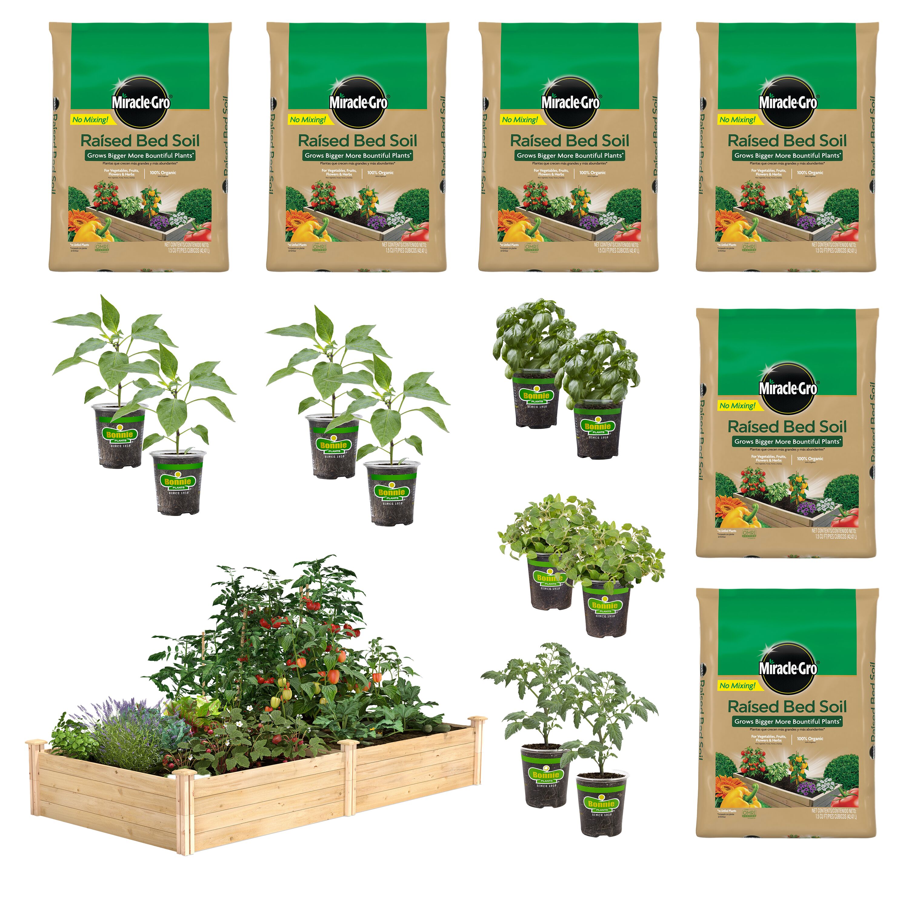 Vegetable Plants at